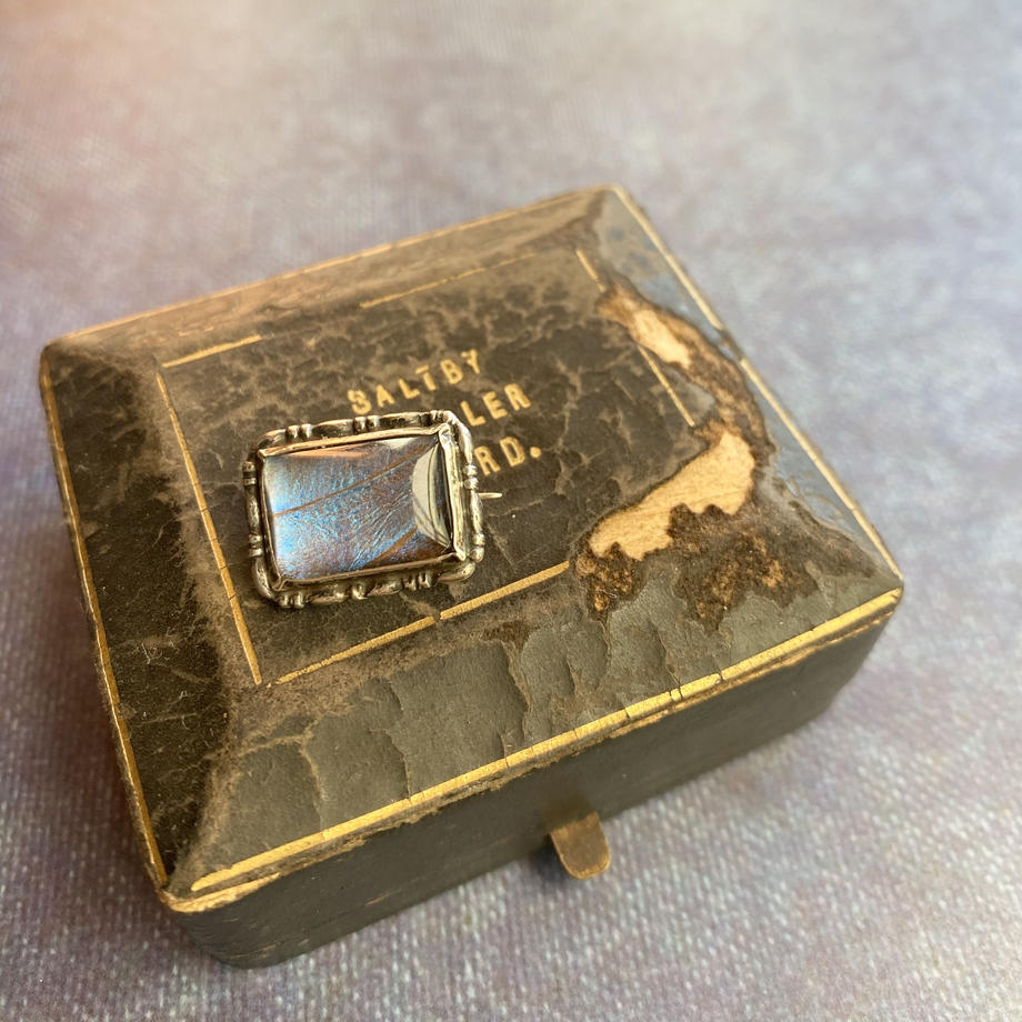 バタフライウィング タイニーブローチ レクタングル