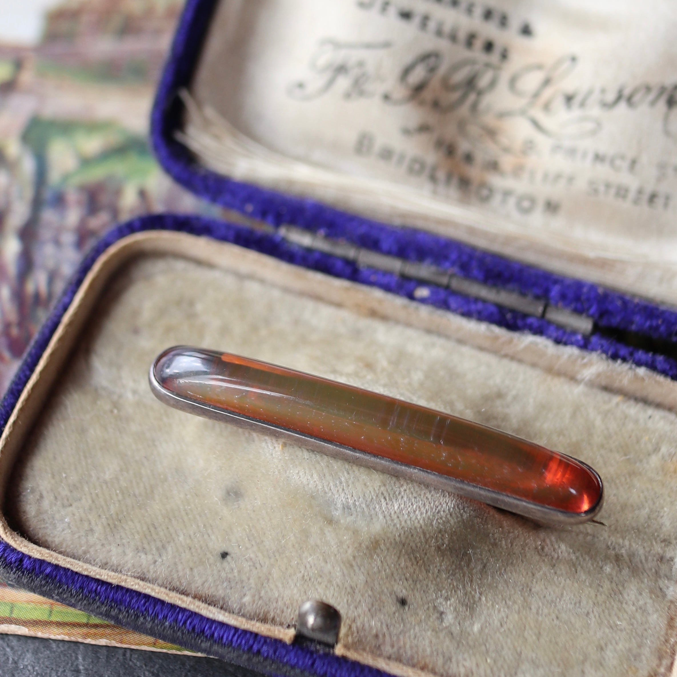 今週の新着商品を入荷致しました