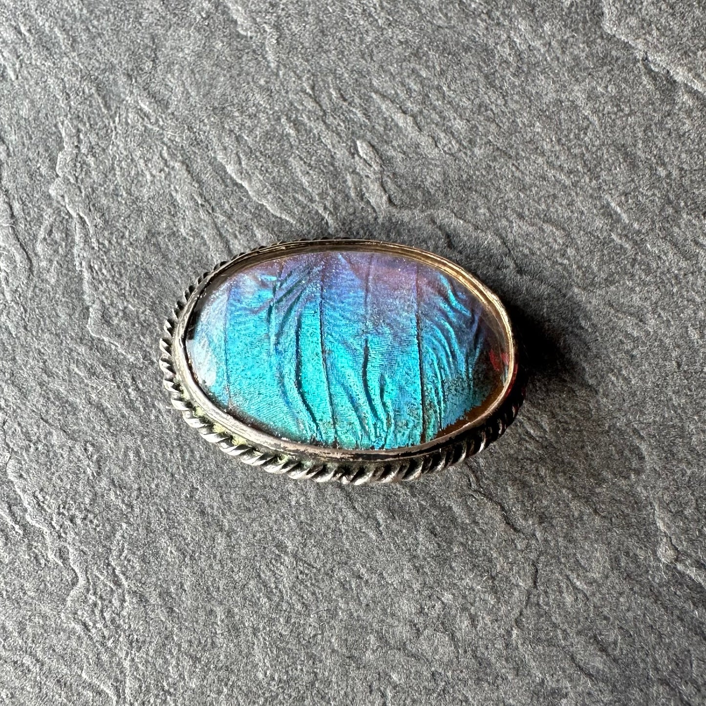 バタフライウィング オーバルブローチ ⑥