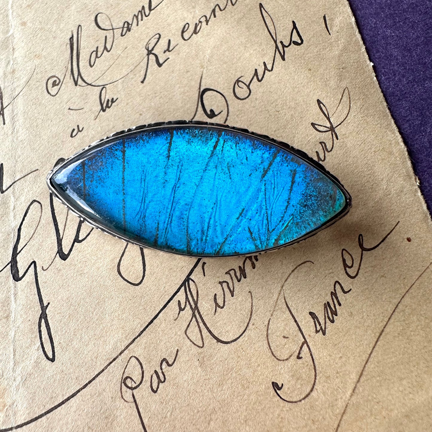 バタフライウィング アイシェイプブローチ