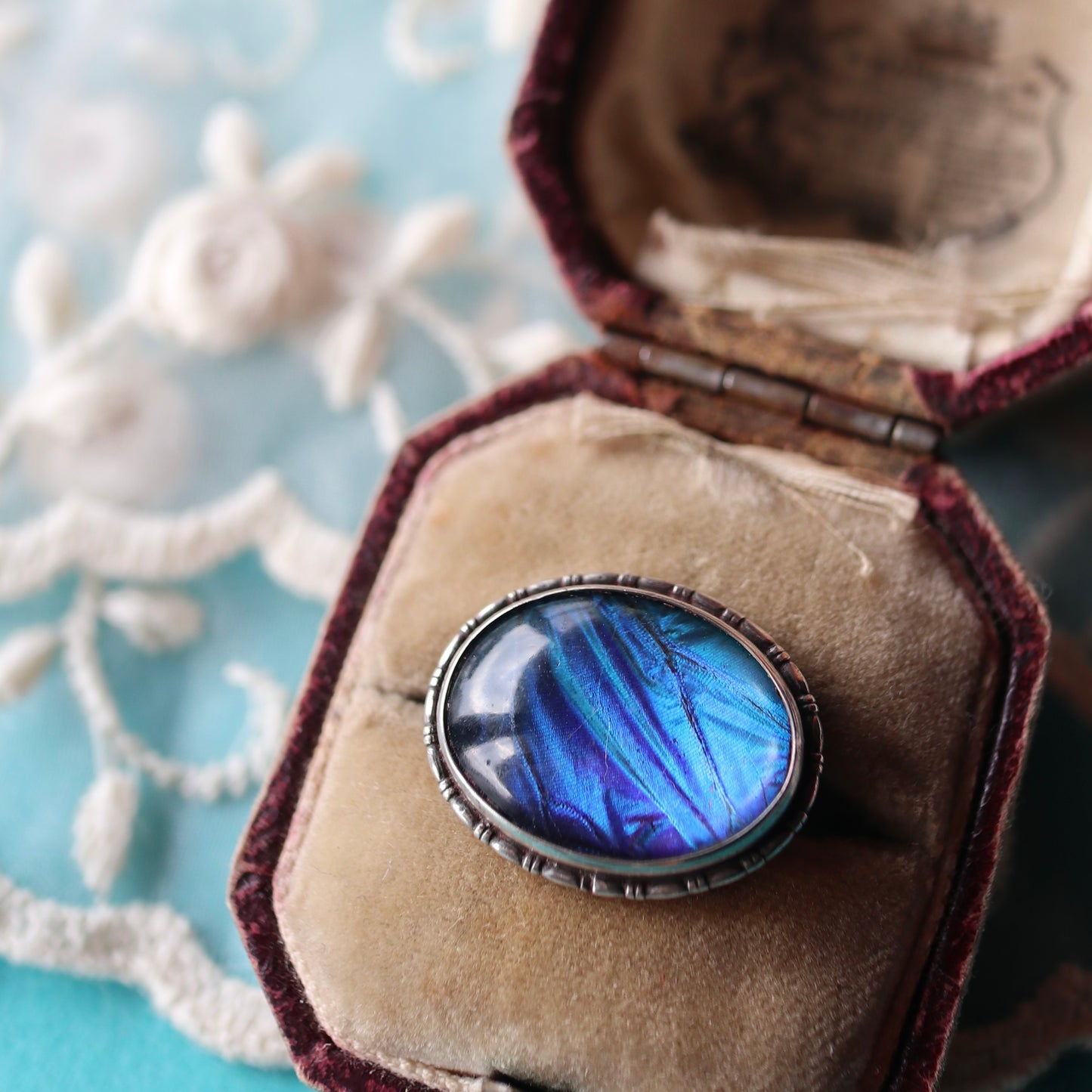 バタフライウィング オーバルブローチ ⑤