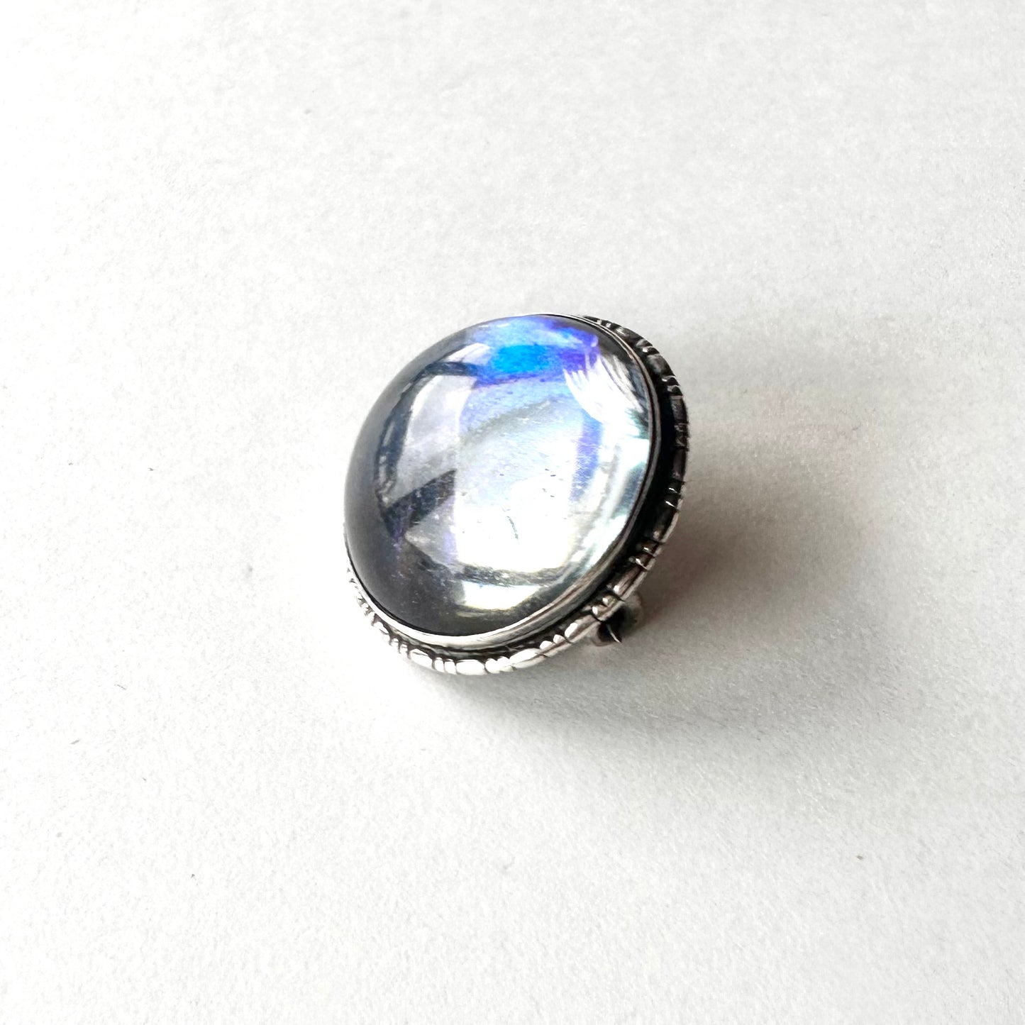 バタフライウィング ラウンド ミニブローチ