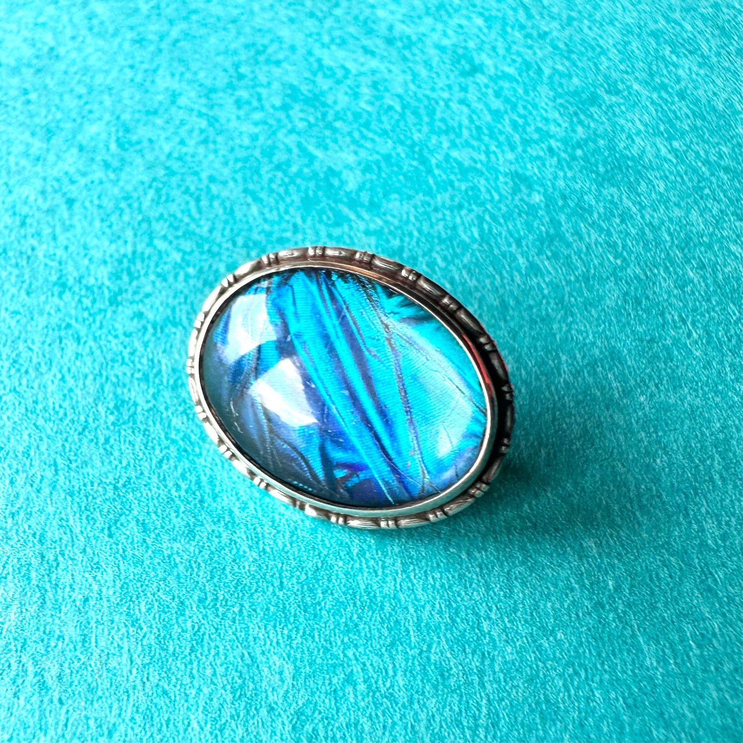 バタフライウィング オーバルブローチ ⑤