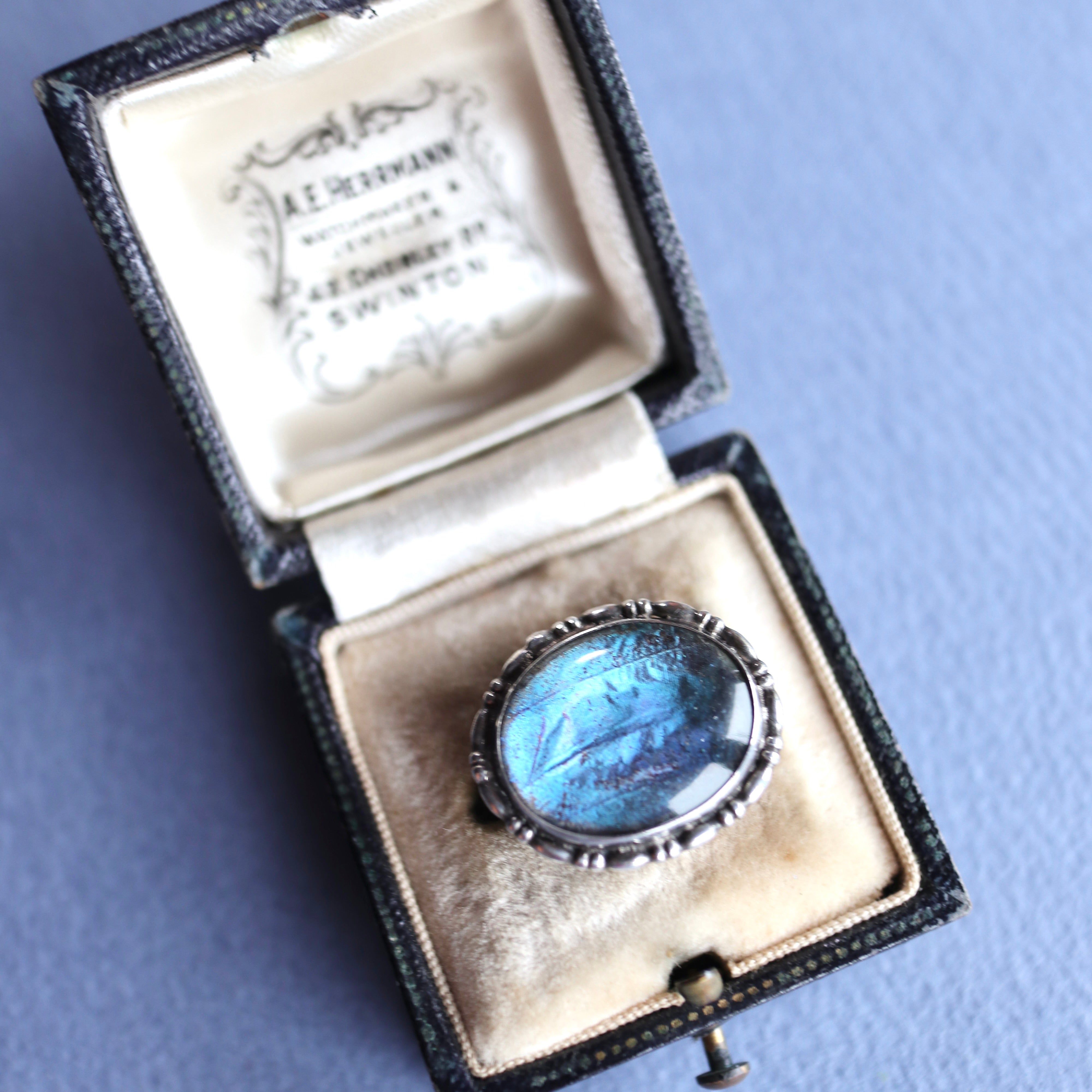 ⚜*️様 全てが天然石ブルーサファイアバタフライモチーフブローチ バタフライウィング オーバルブローチ – Amelie Antique