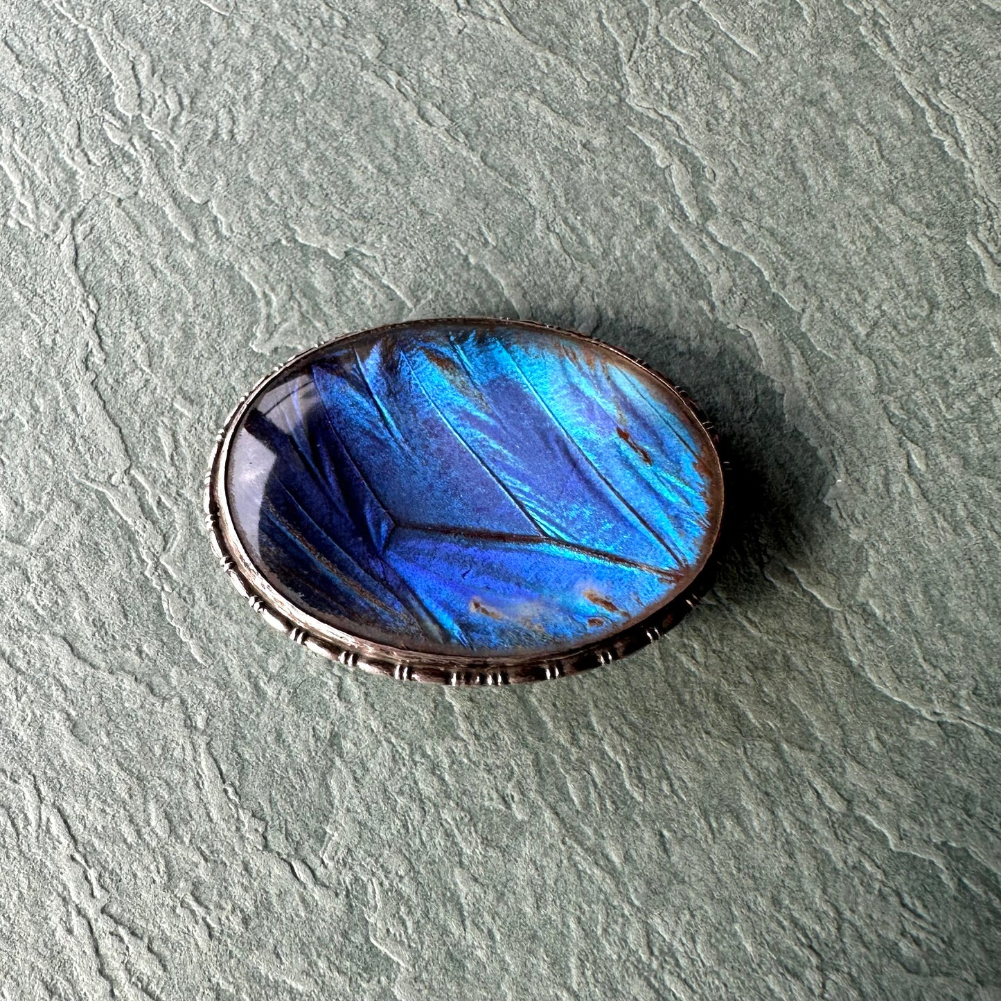 バタフライウィング オーバルブローチ ①