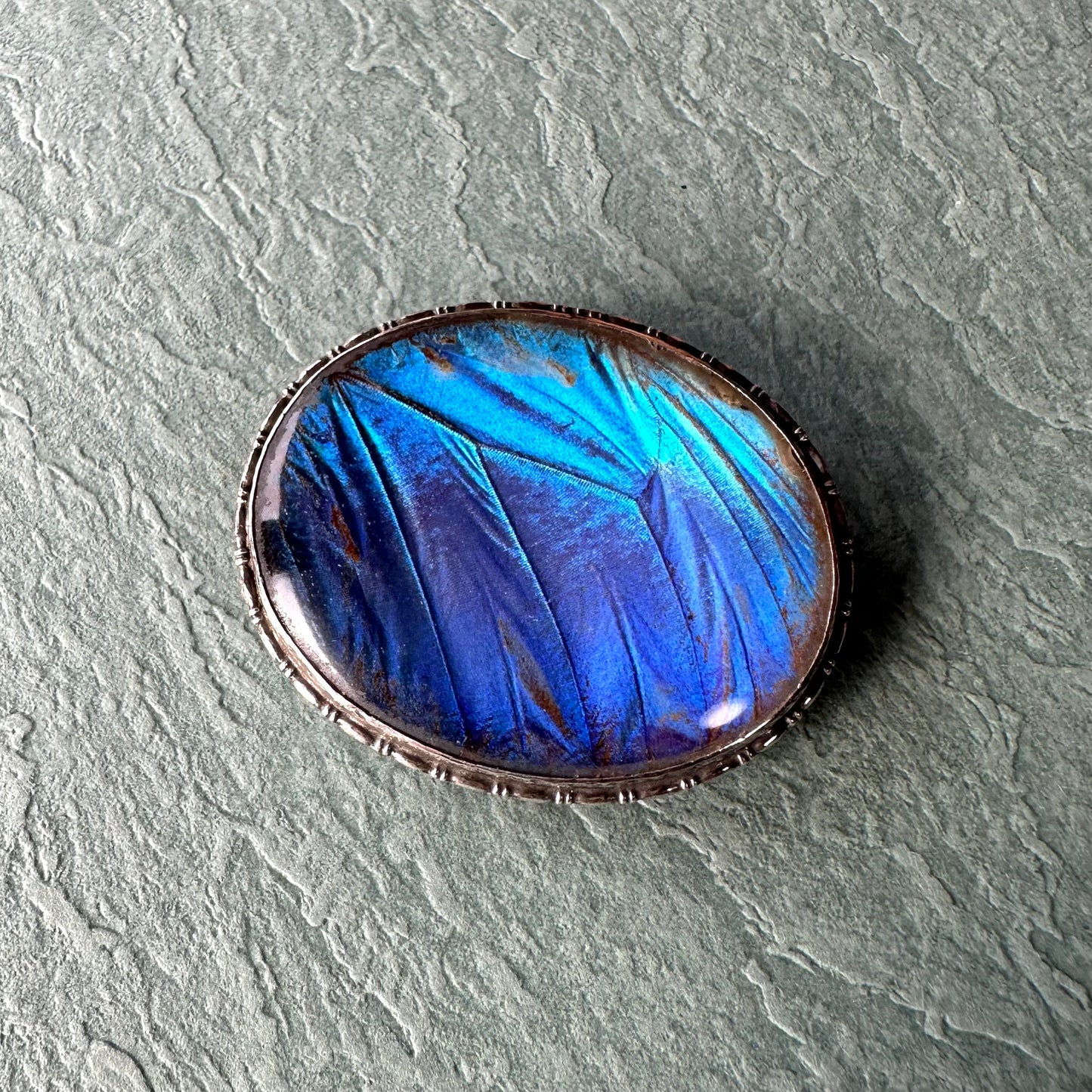 バタフライウィング オーバルブローチ ①