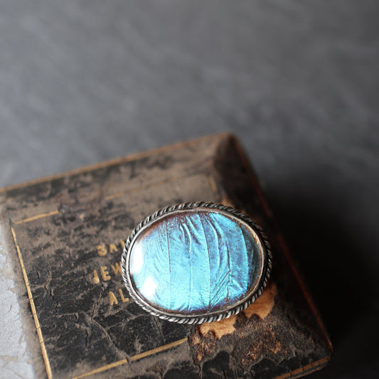 バタフライウィング オーバルブローチ ⑥