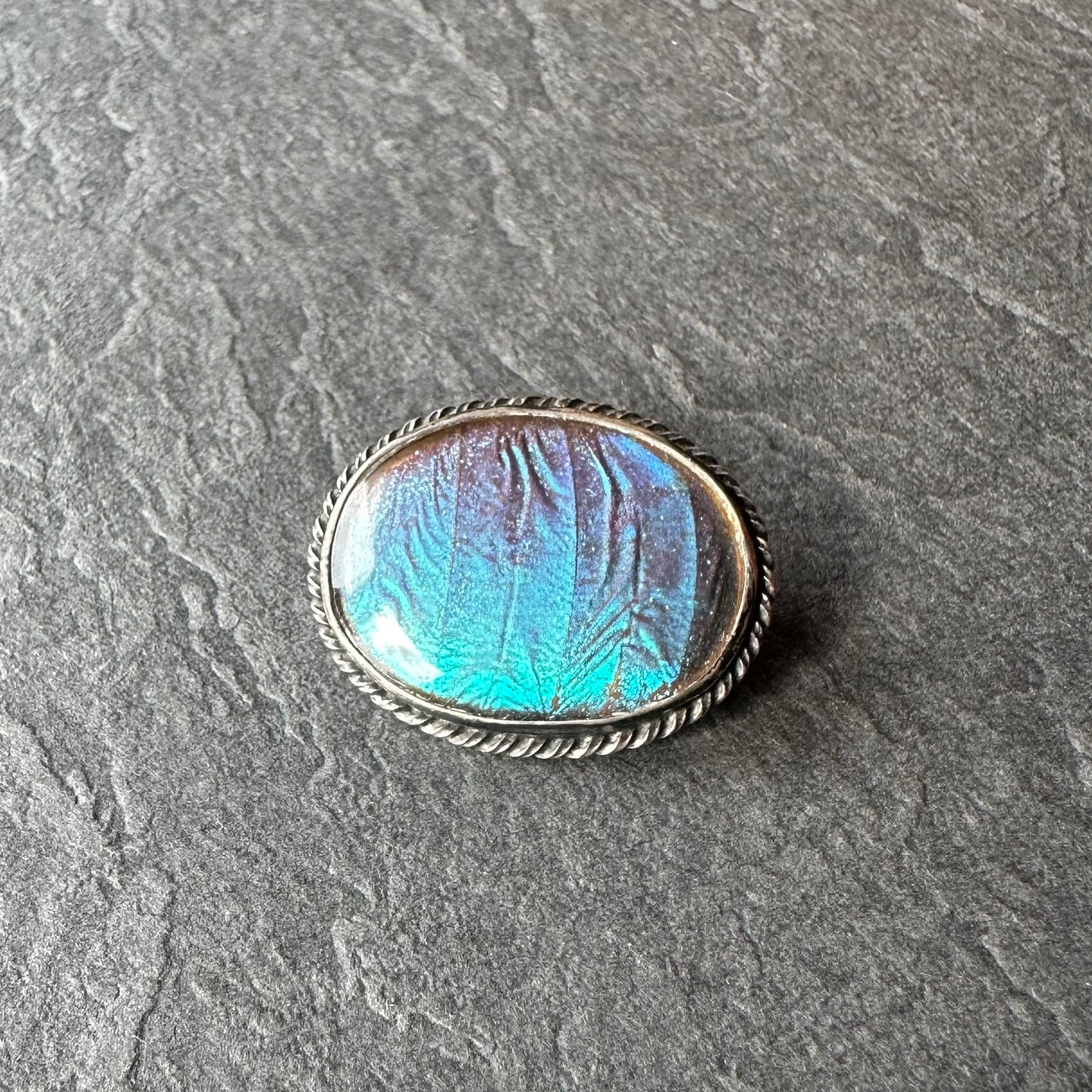 バタフライウィング オーバルブローチ ⑥