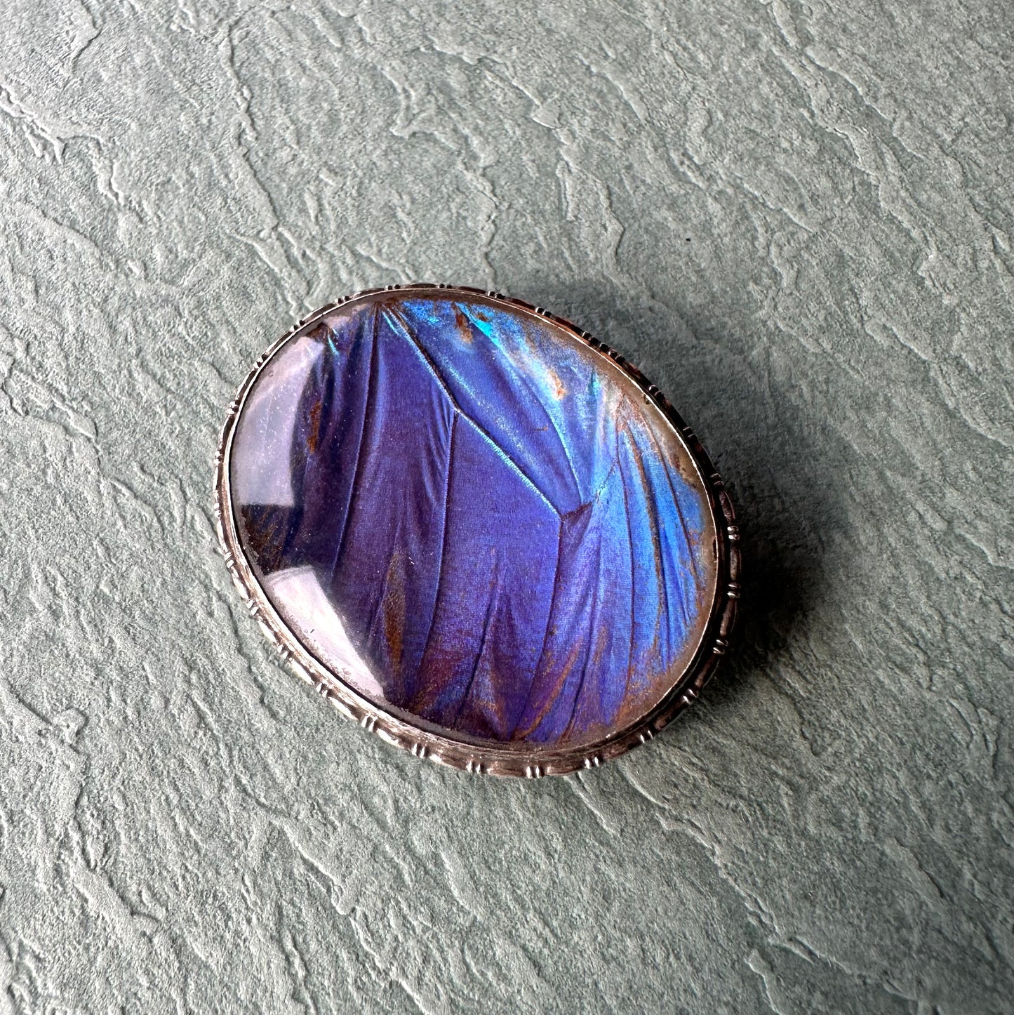 バタフライウィング オーバルブローチ ①