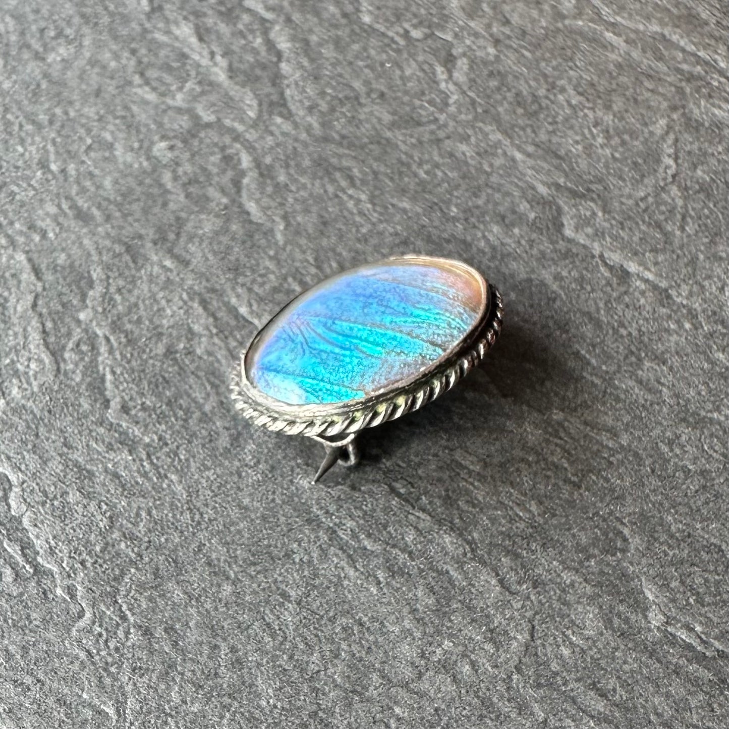 バタフライウィング オーバルブローチ ⑥