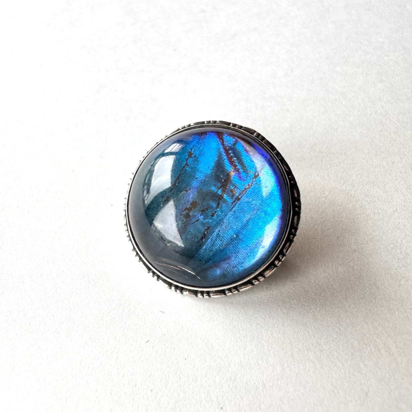 バタフライウィング ラウンド ミニブローチ