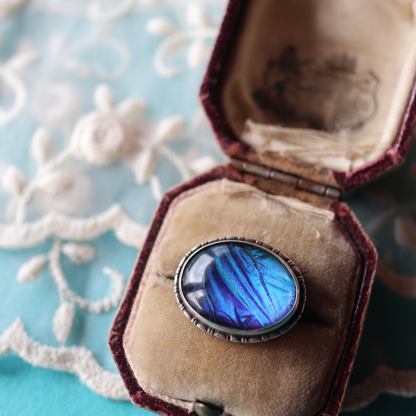 バタフライウィング オーバルブローチ ⑤