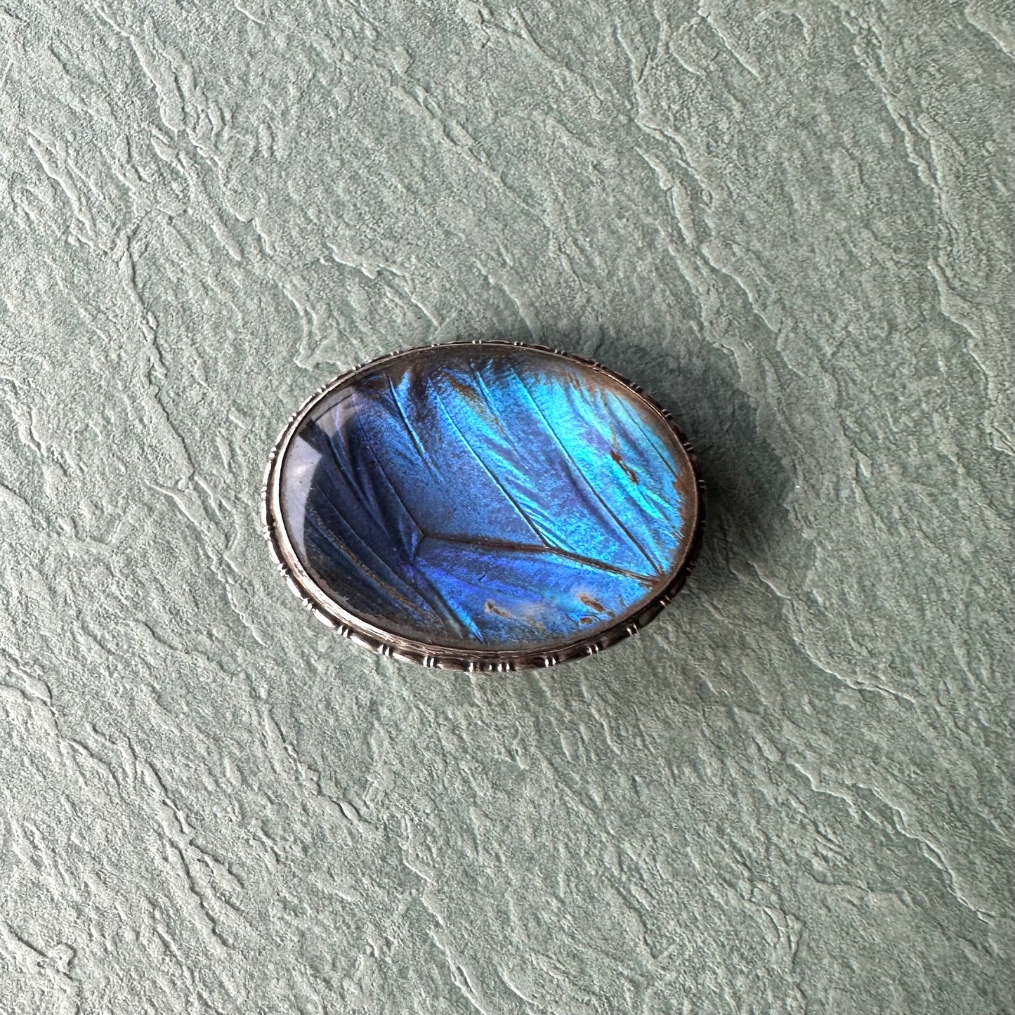 バタフライウィング オーバルブローチ ①