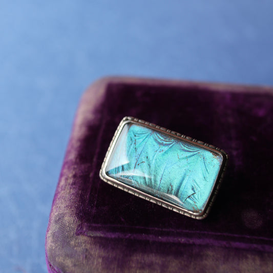 バタフライウィング レクタングルブローチ ④