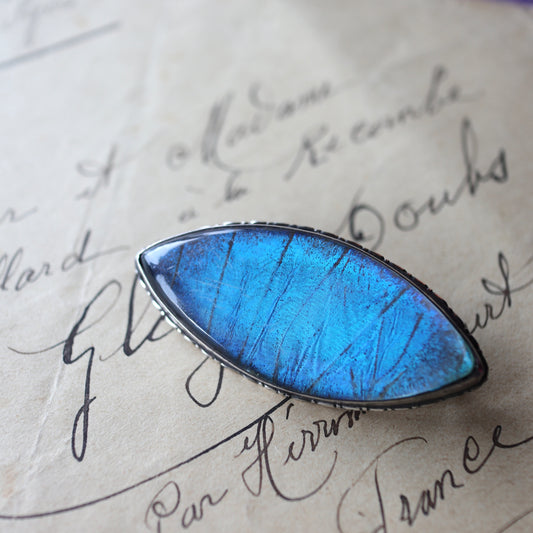 バタフライウィング アイシェイプブローチ ③