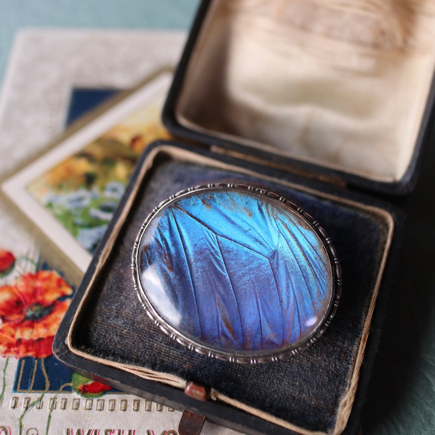 バタフライウィング オーバルブローチ ①