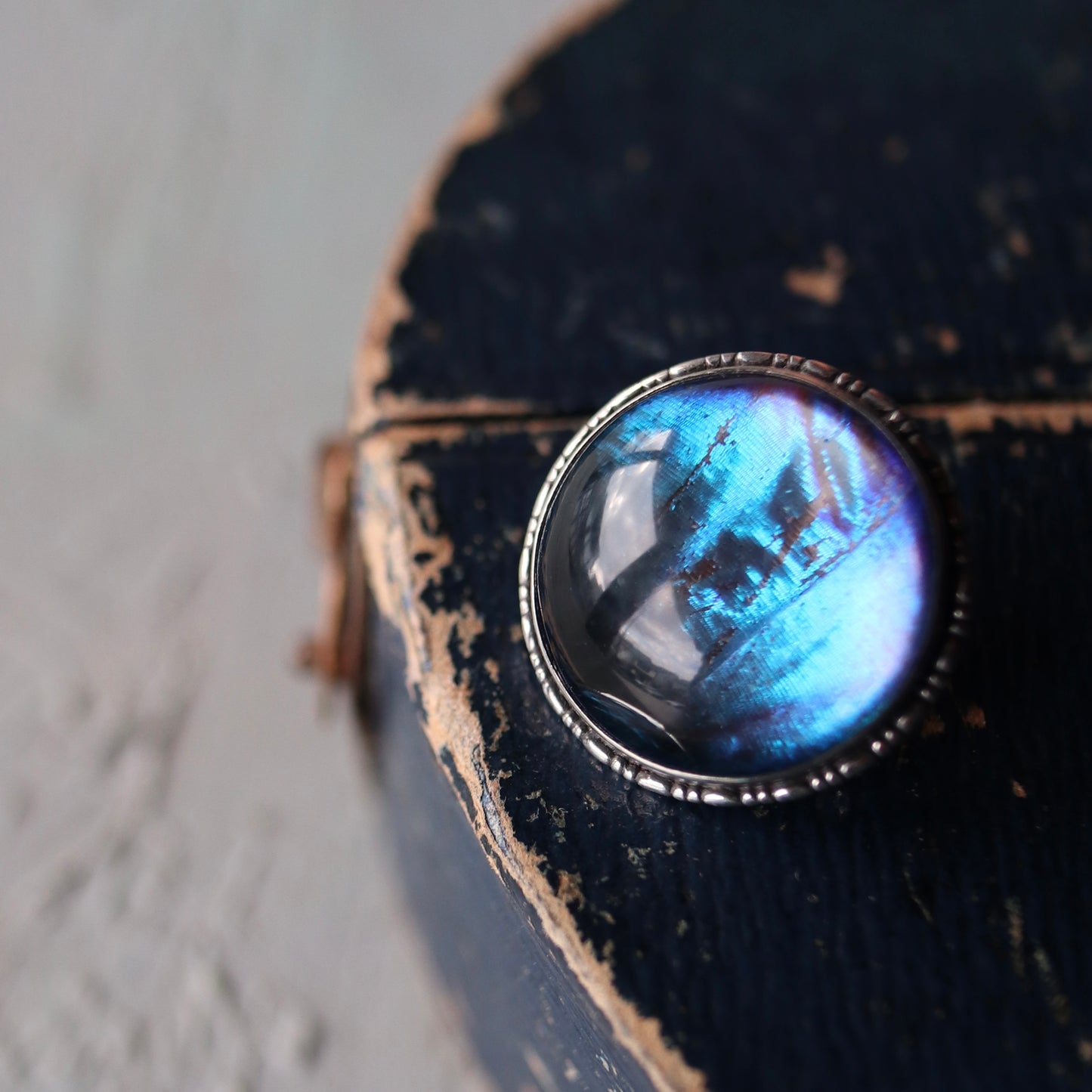 バタフライウィング ラウンド ミニブローチ