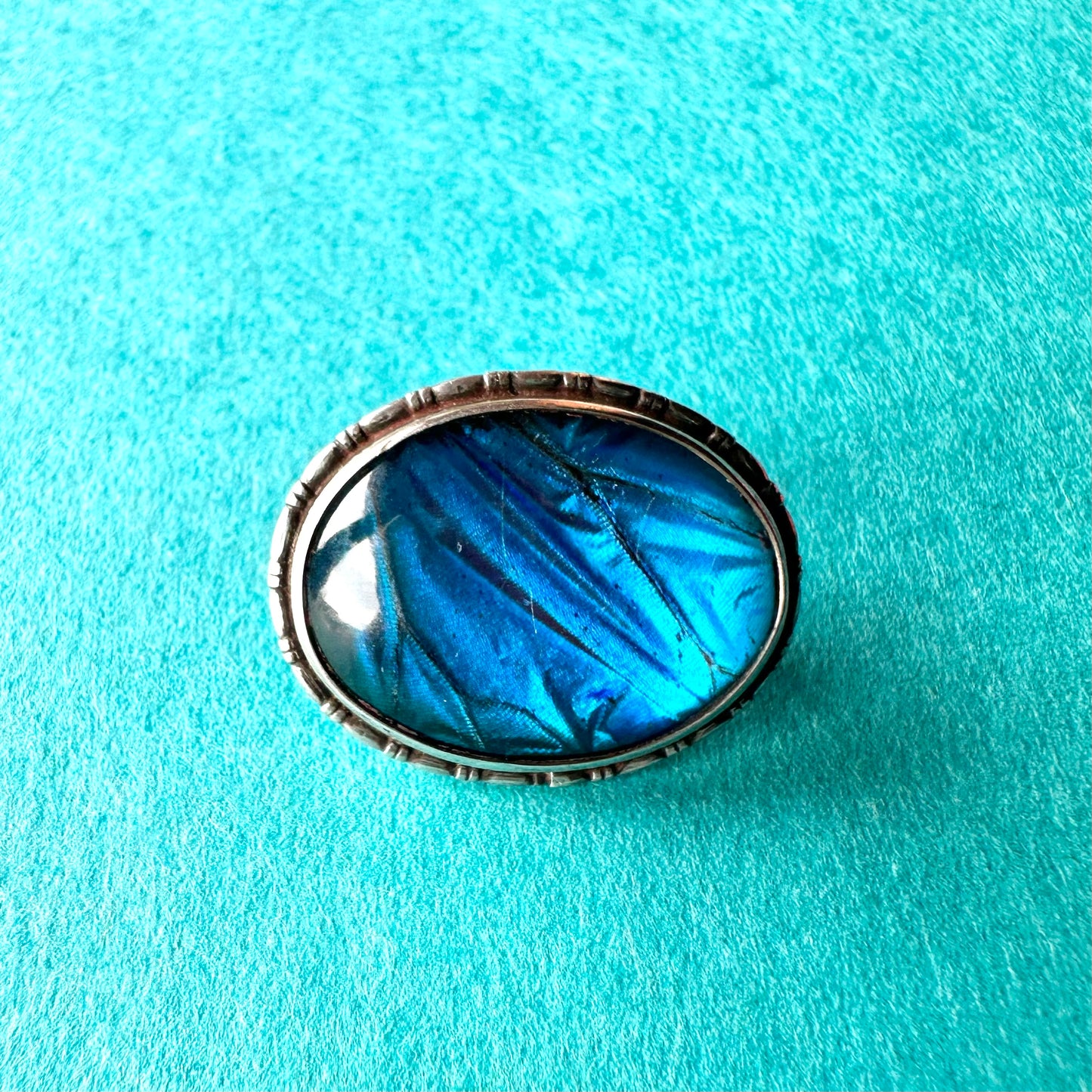 バタフライウィング オーバルブローチ ⑤