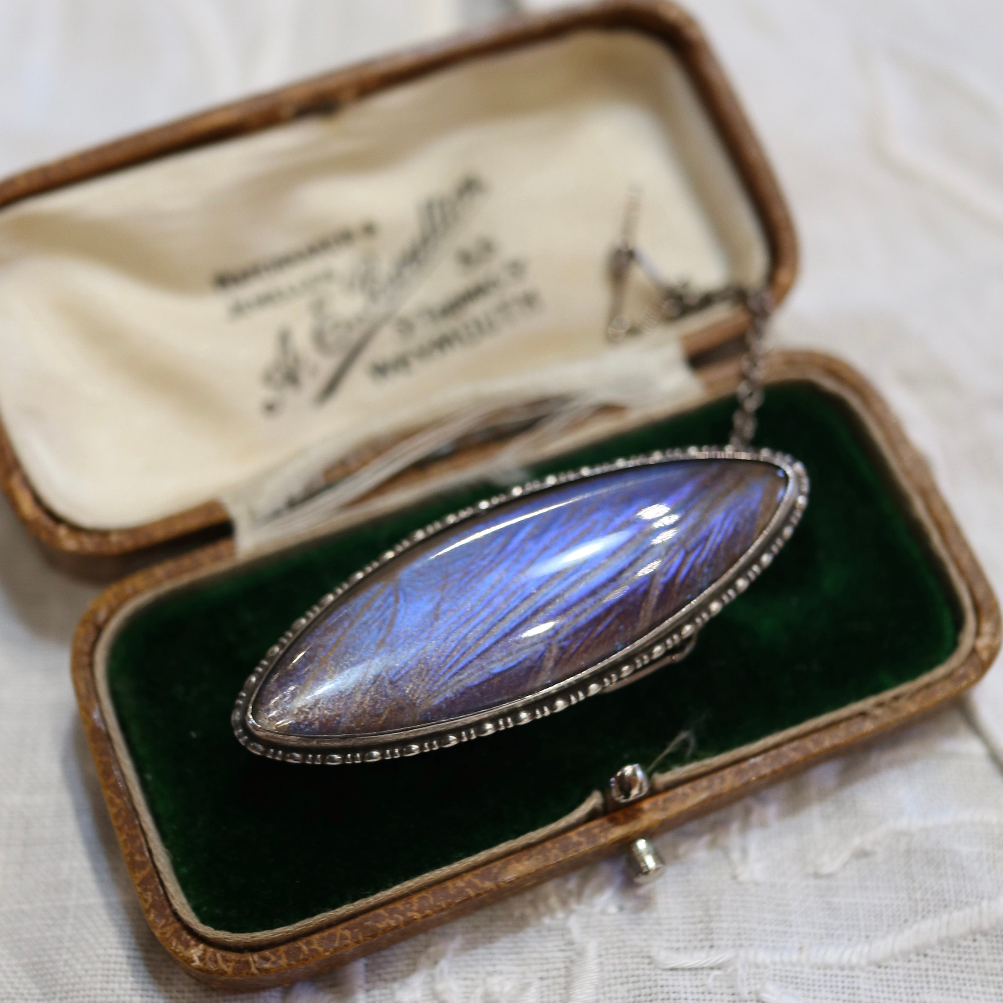 バタフライウィング｜サフィレット・マイクロモザイク・バタフライ