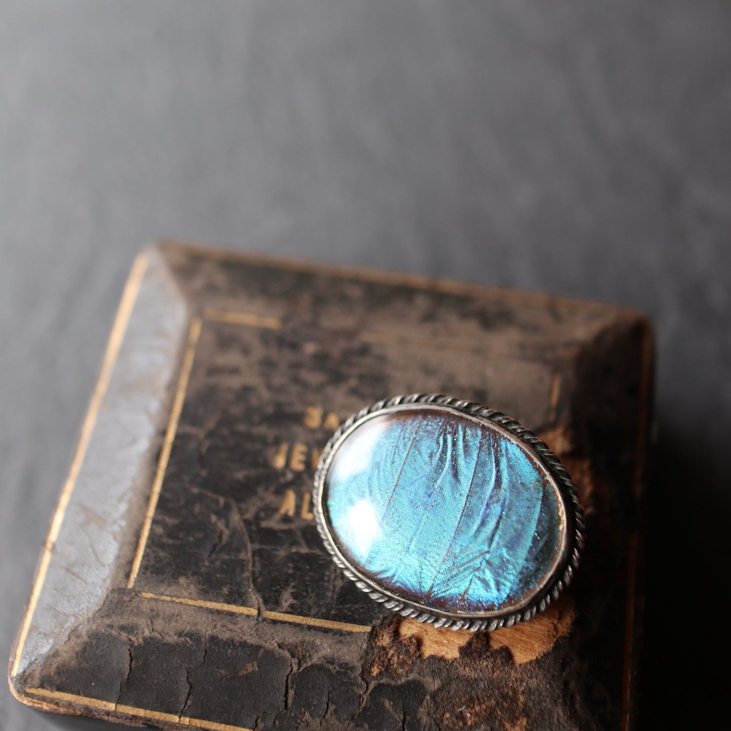 バタフライウィング オーバルブローチ ⑥