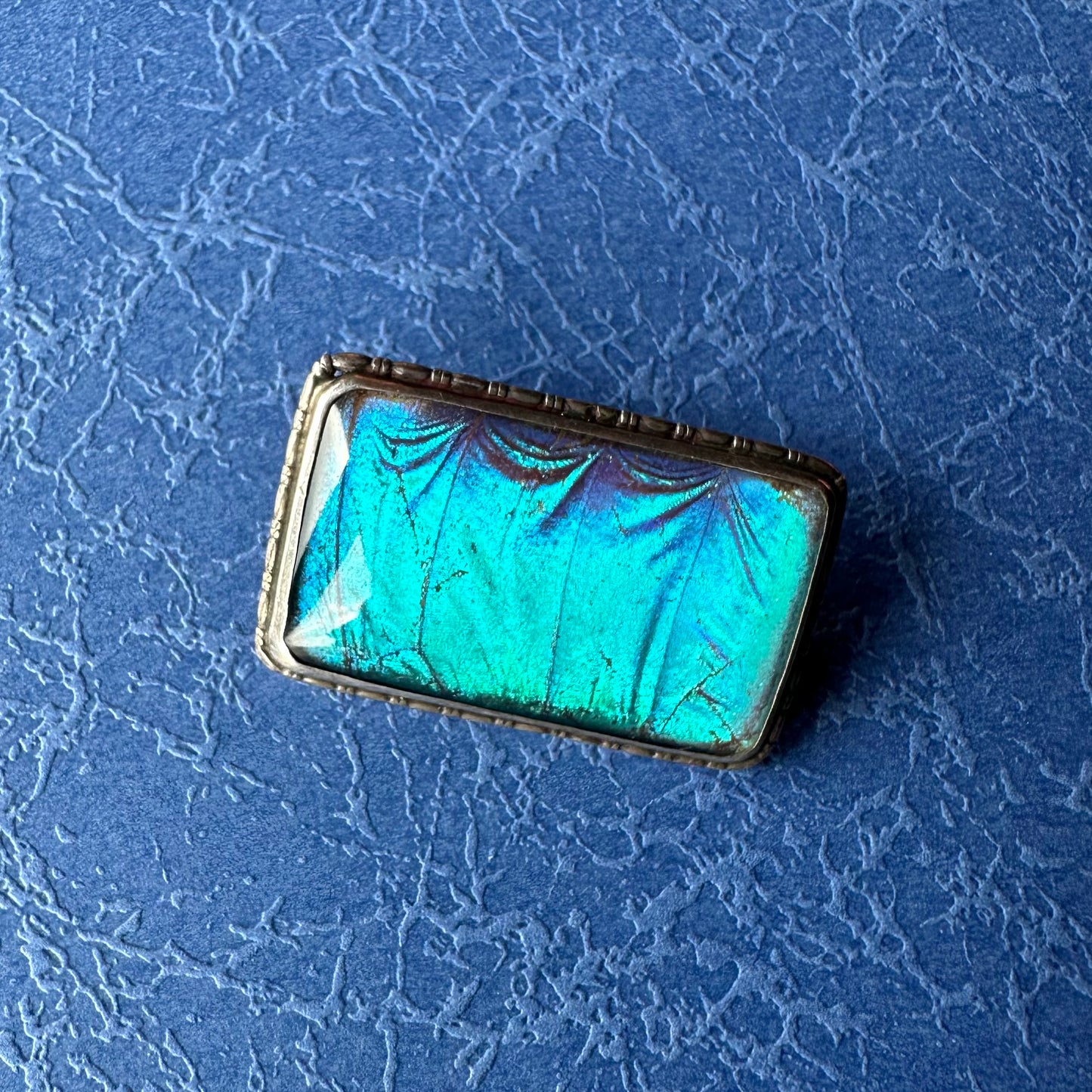 バタフライウィング レクタングルブローチ ④