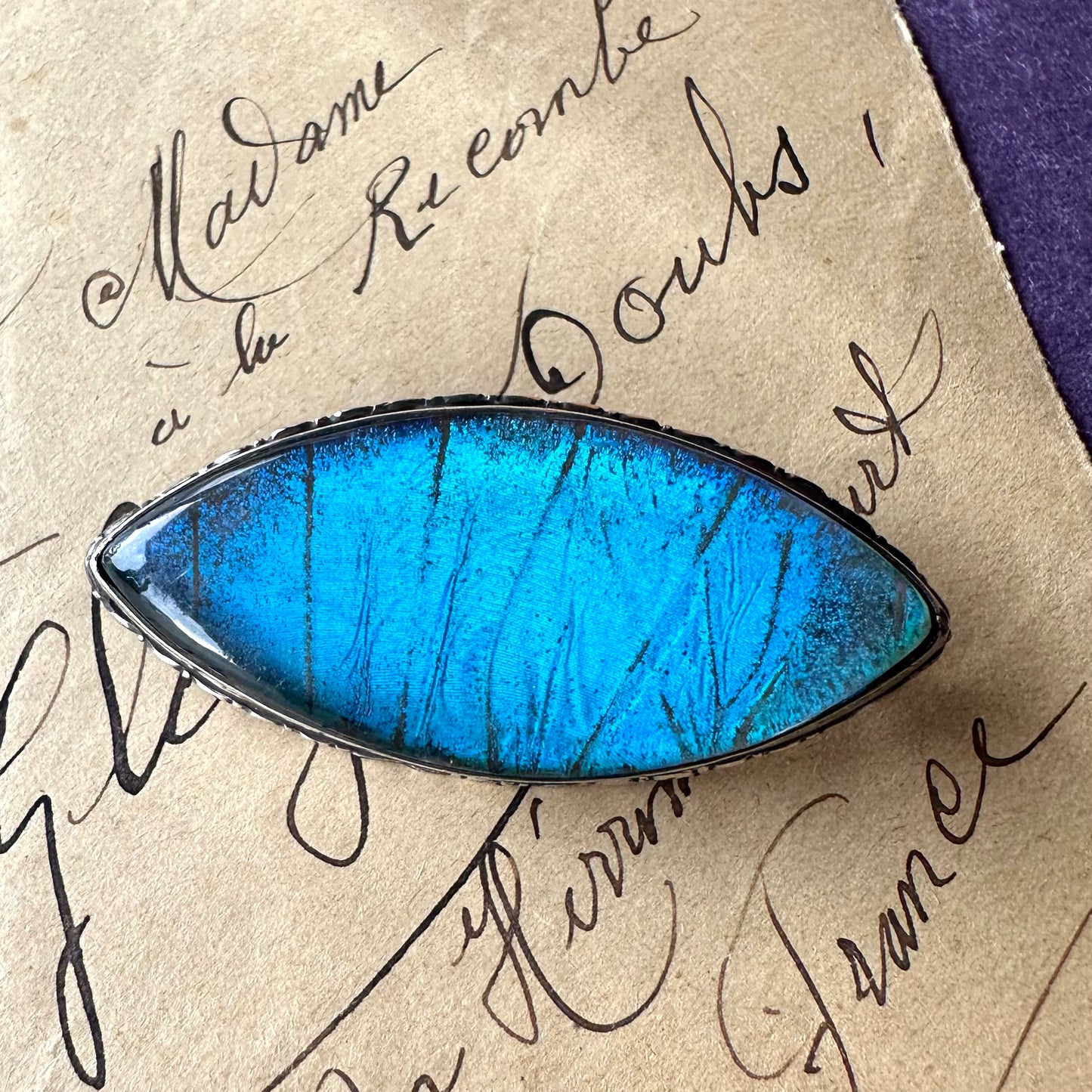 バタフライウィング アイシェイプブローチ