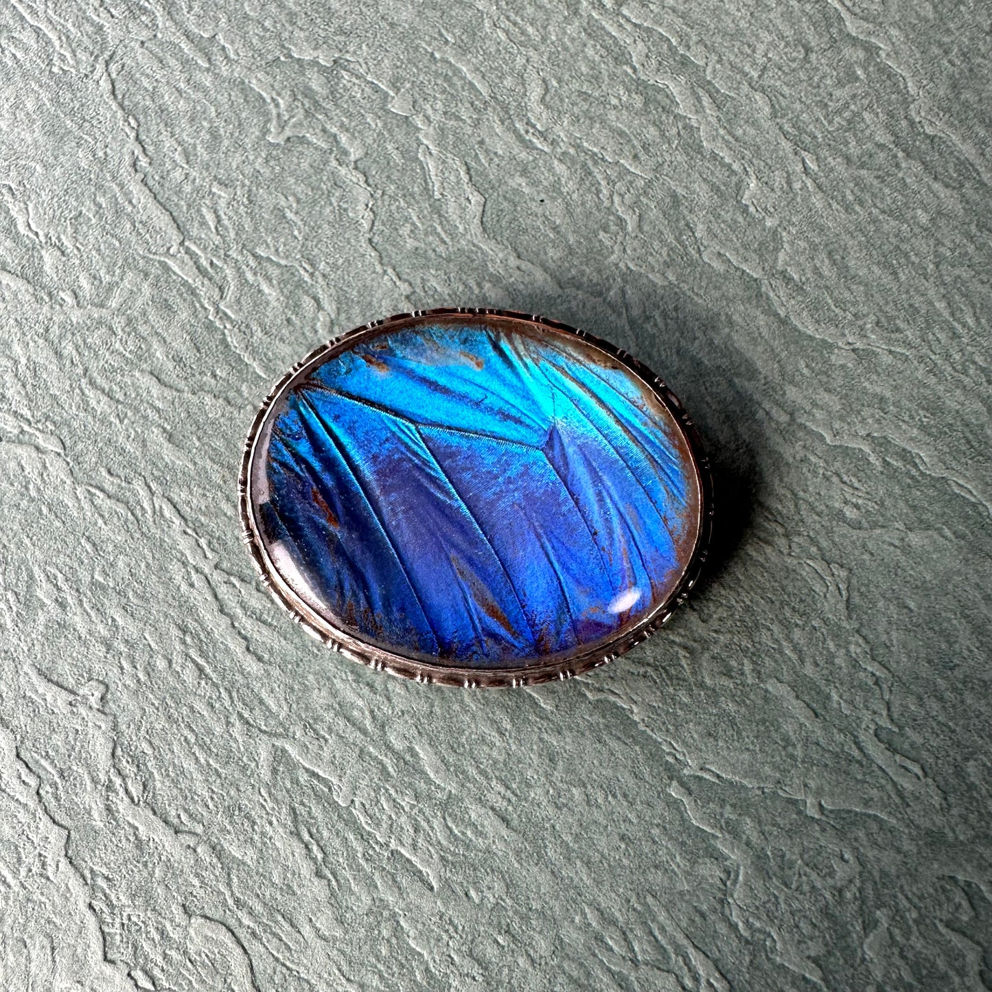 バタフライウィング オーバルブローチ ①