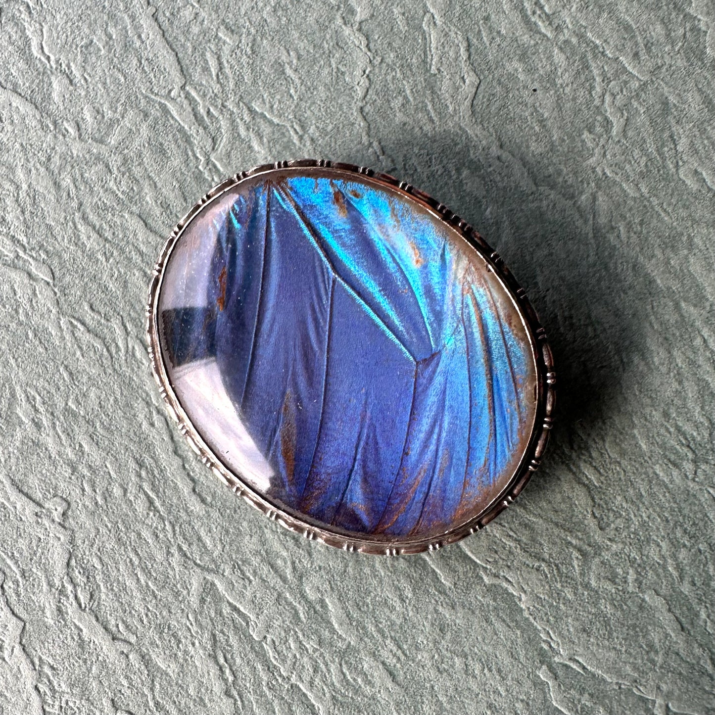 バタフライウィング オーバルブローチ ①