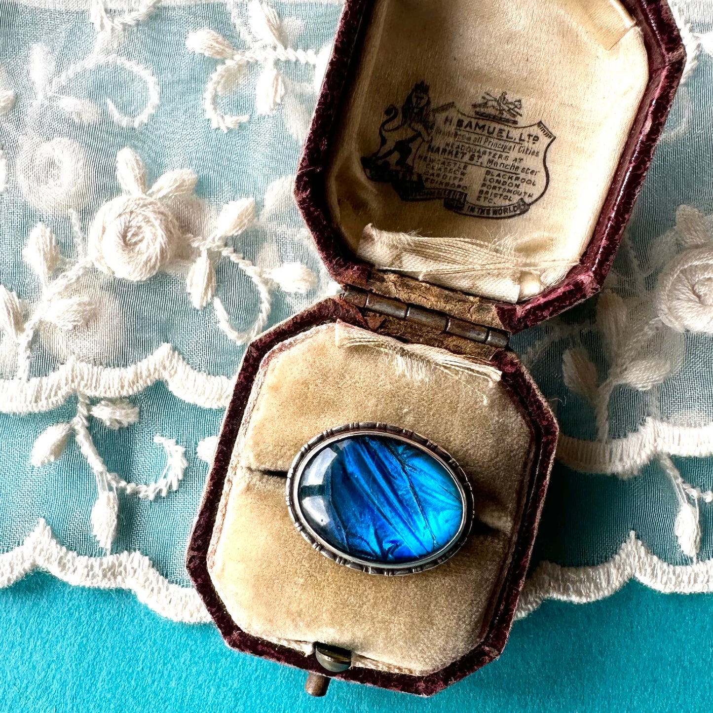 バタフライウィング オーバルブローチ ⑤