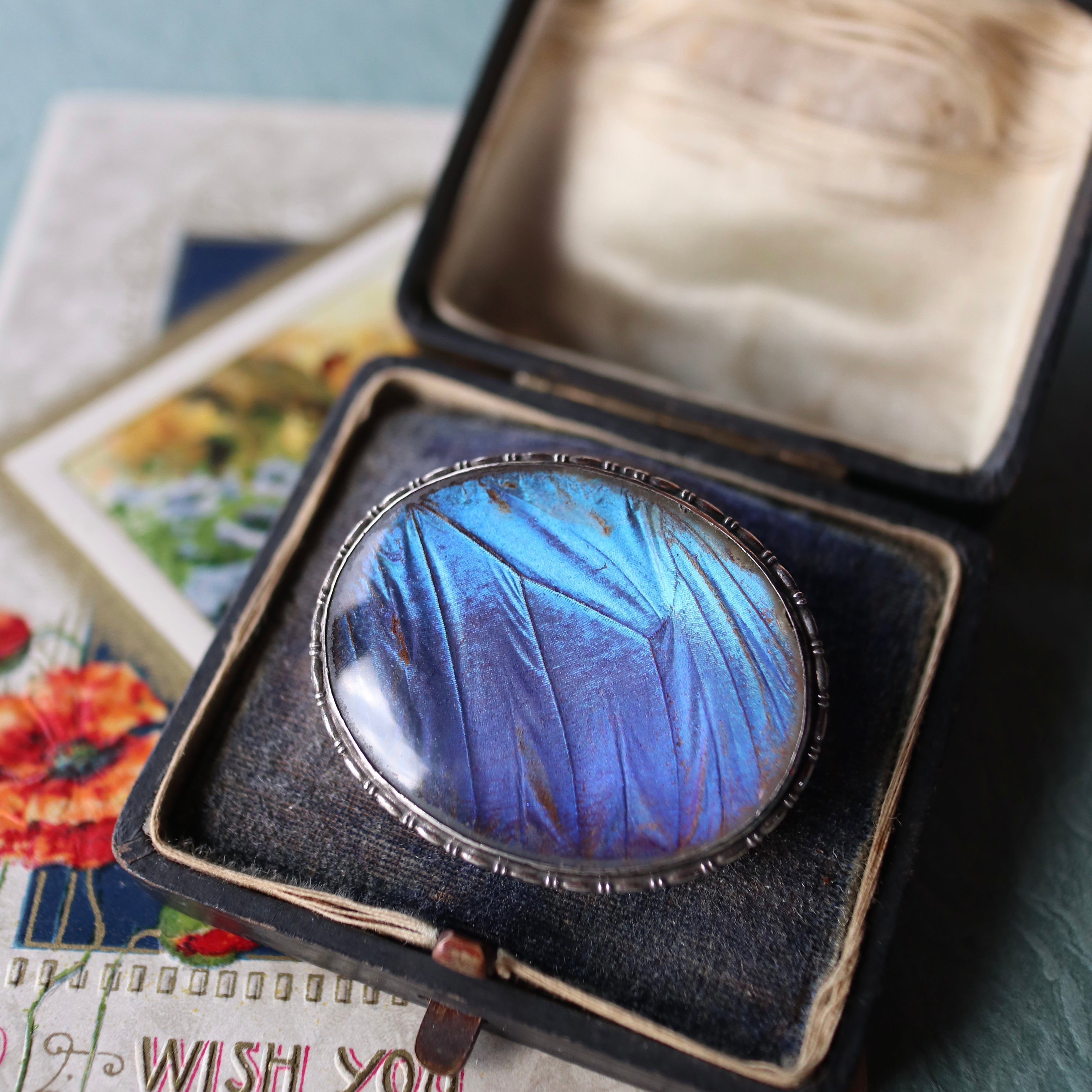 ブローチ｜サフィレット・マイクロモザイク・バタフライウィング等の