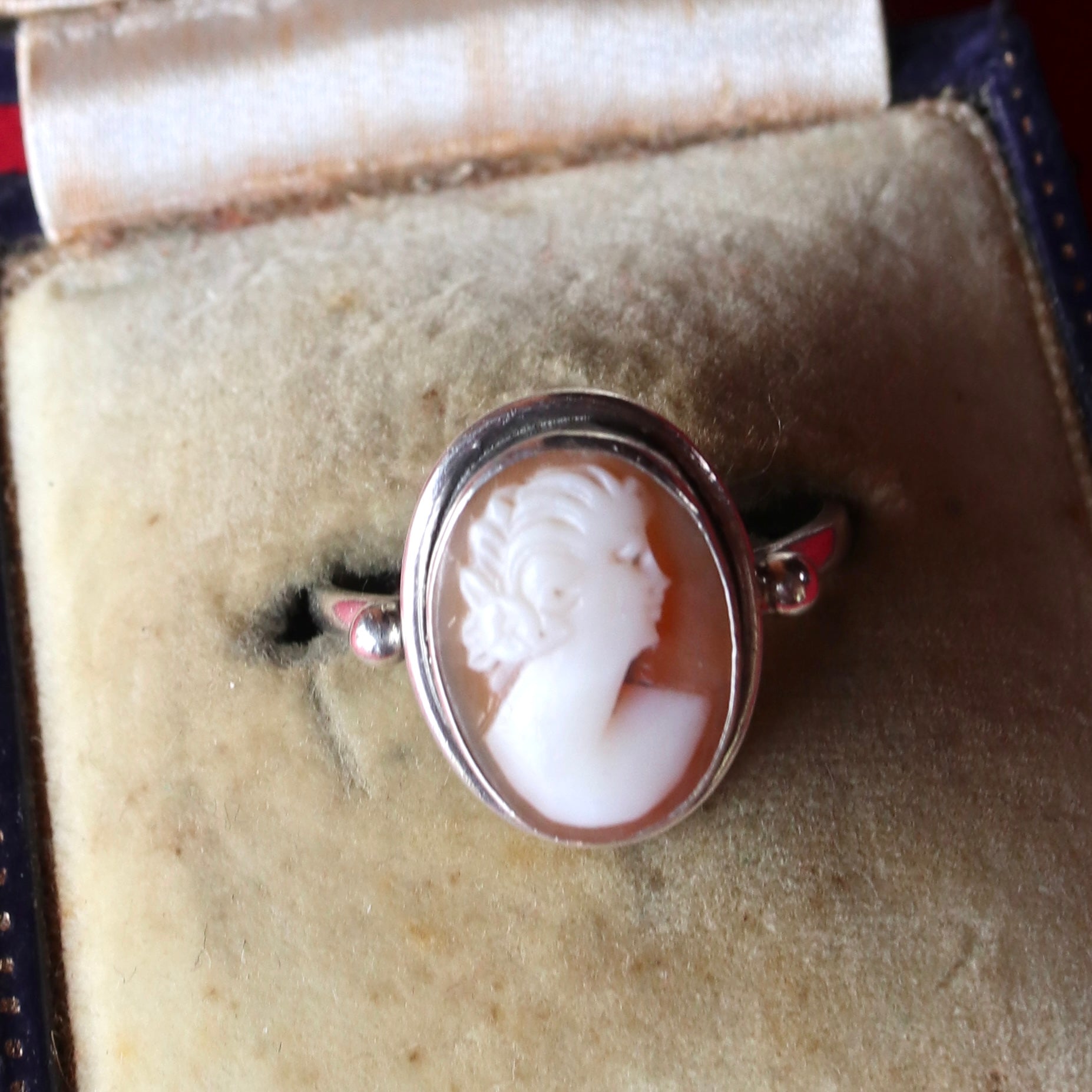 シェル製カメオコレクションセット　アンティーク　ヴィンテージ vintage_cameo_brooch_2178_-01.