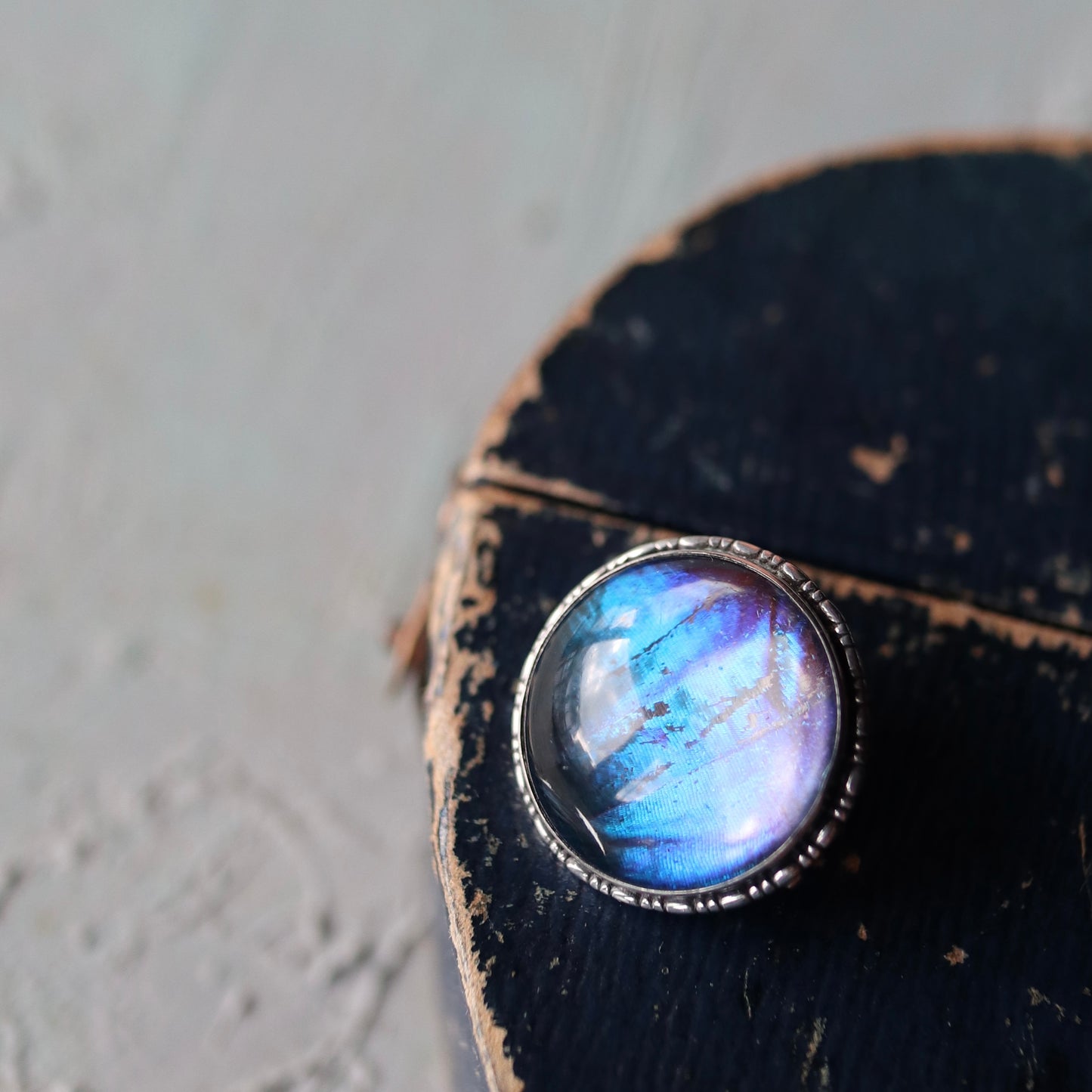 バタフライウィング ラウンド ミニブローチ