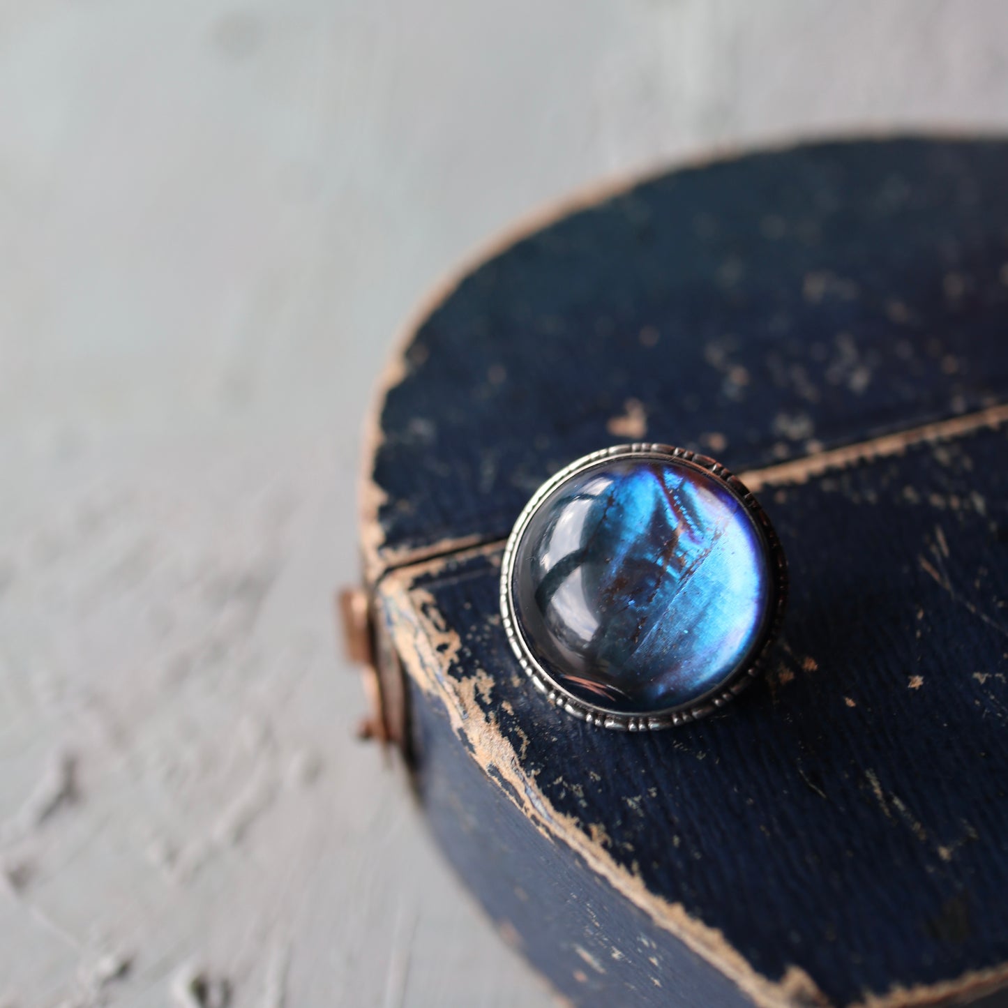 バタフライウィング ラウンド ミニブローチ