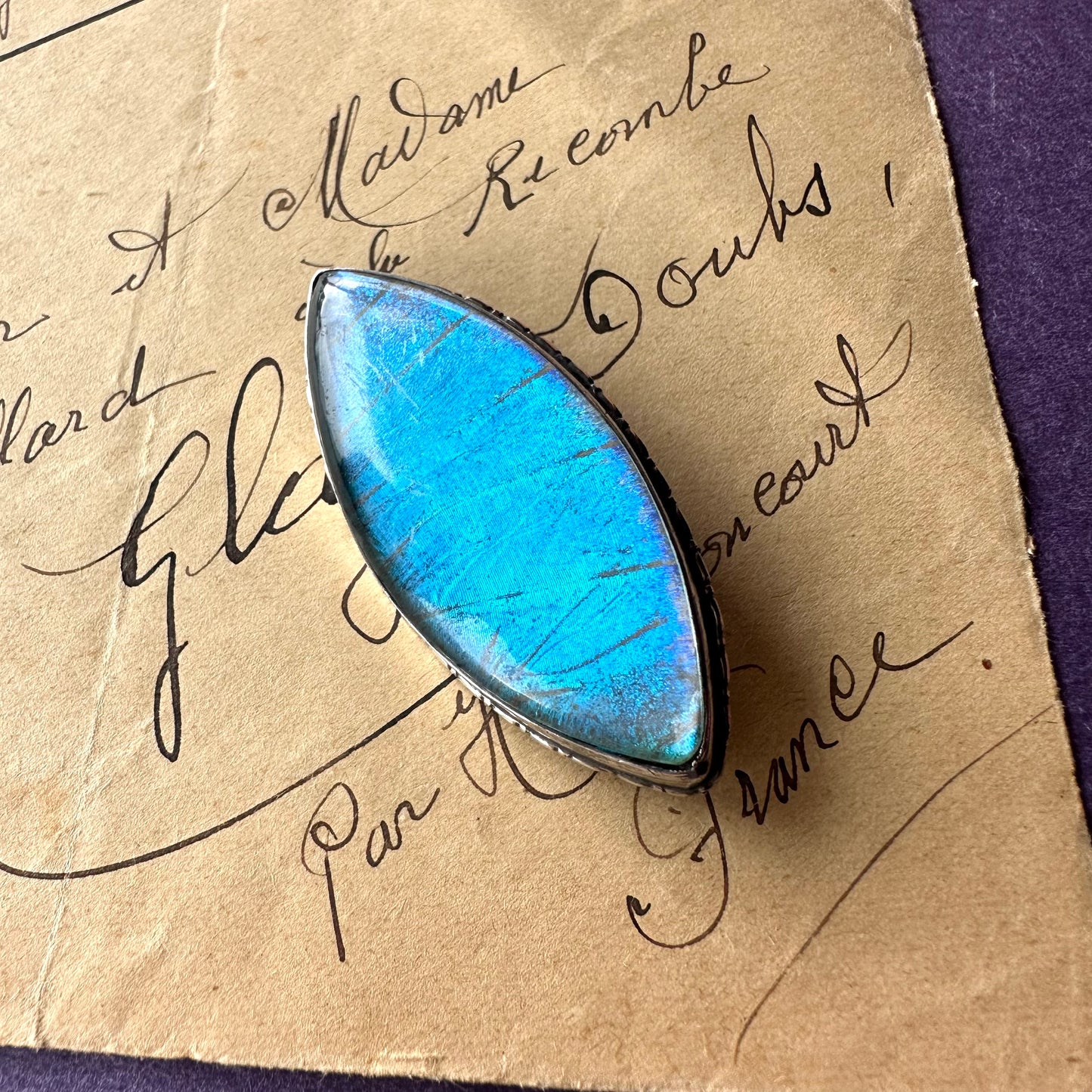 バタフライウィング アイシェイプブローチ