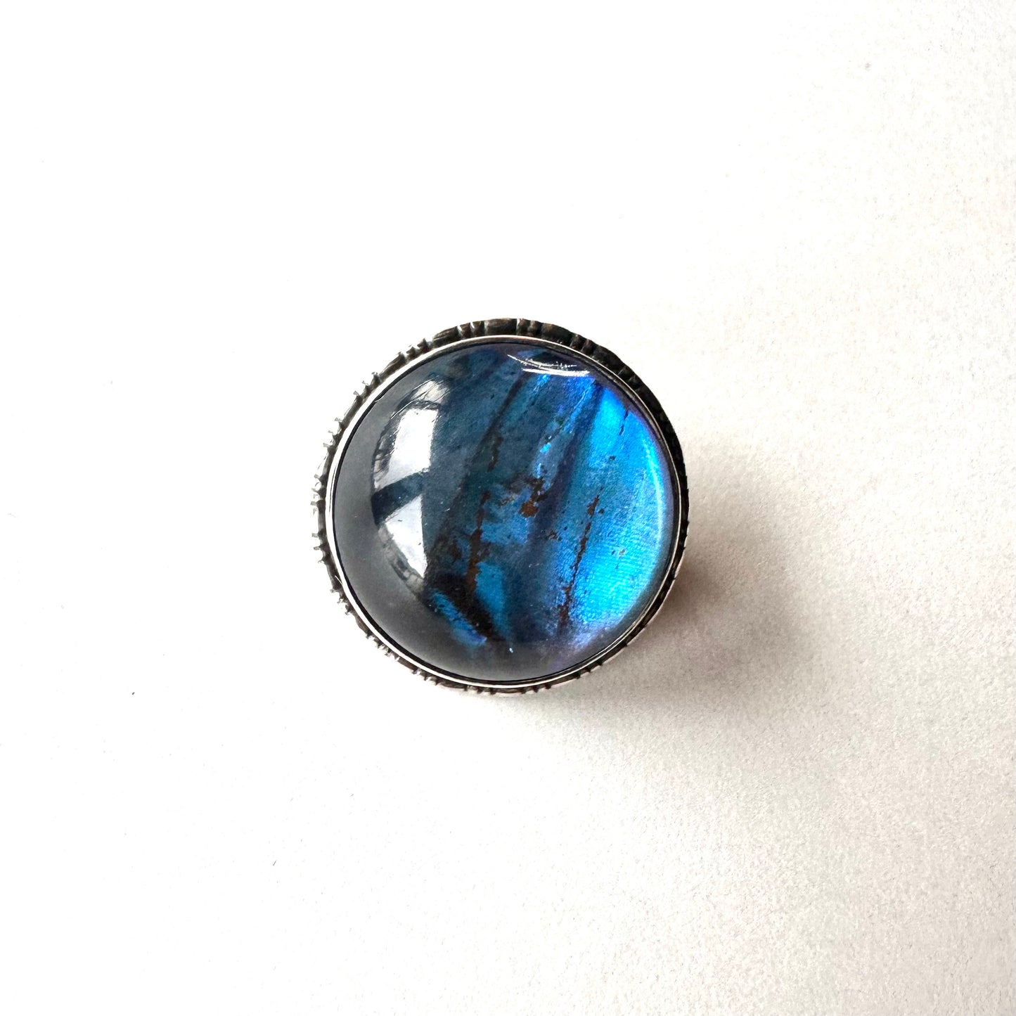 バタフライウィング ラウンド ミニブローチ