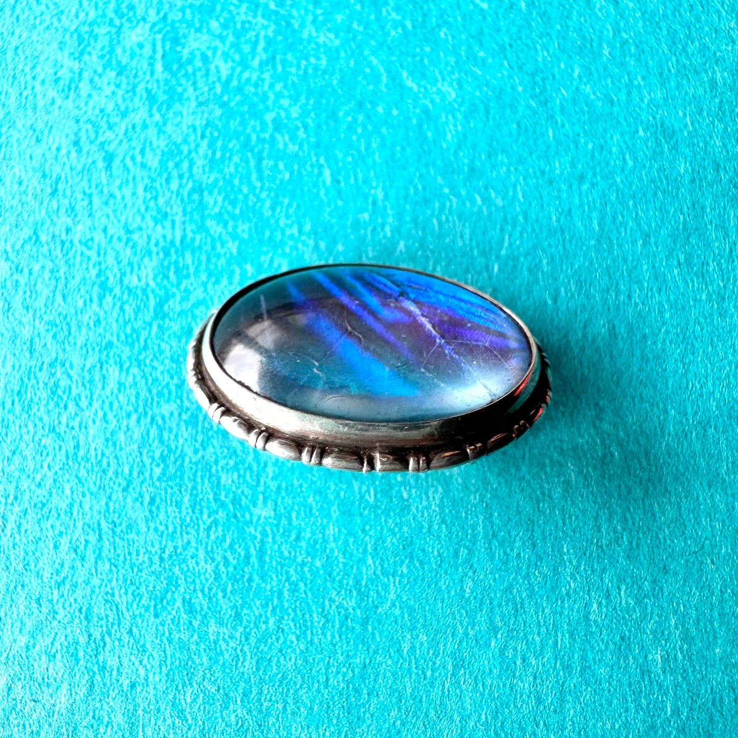 バタフライウィング オーバルブローチ ⑤