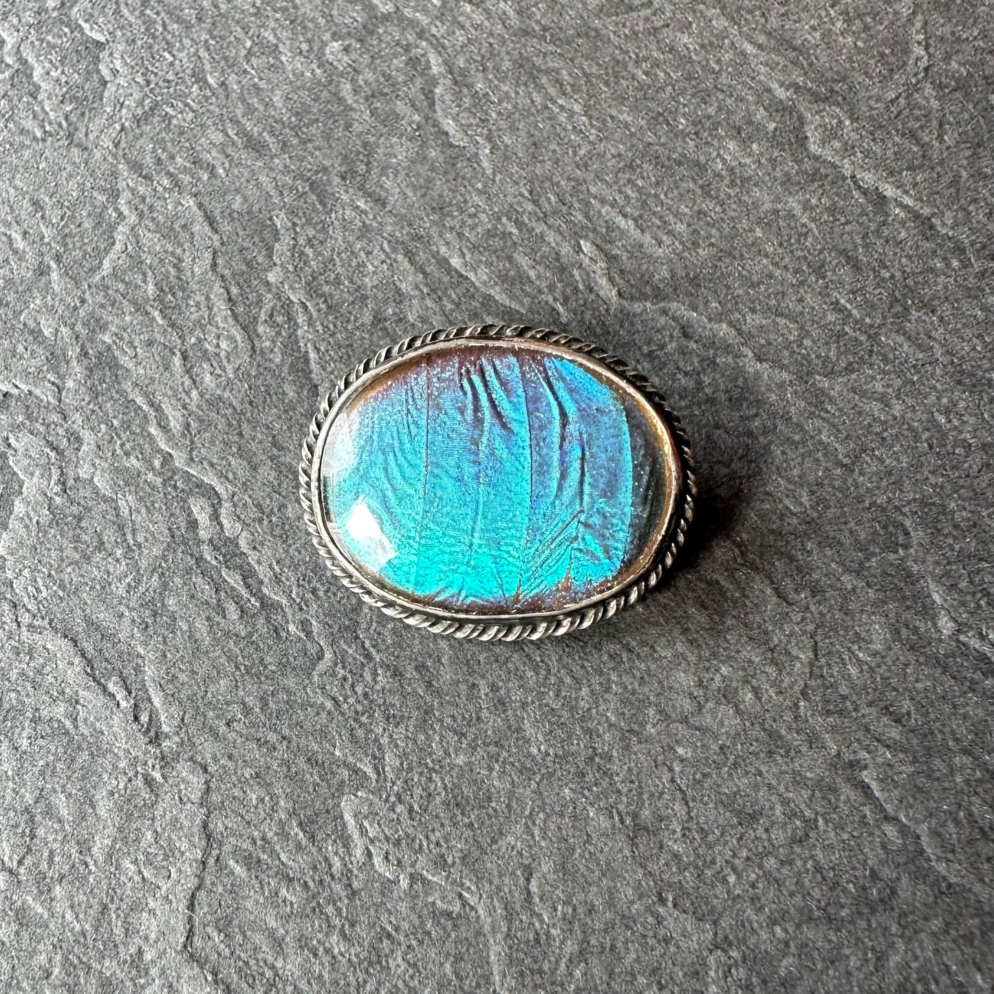 バタフライウィング オーバルブローチ ⑥