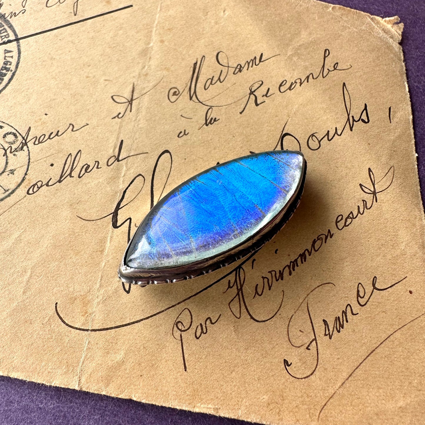 バタフライウィング アイシェイプブローチ