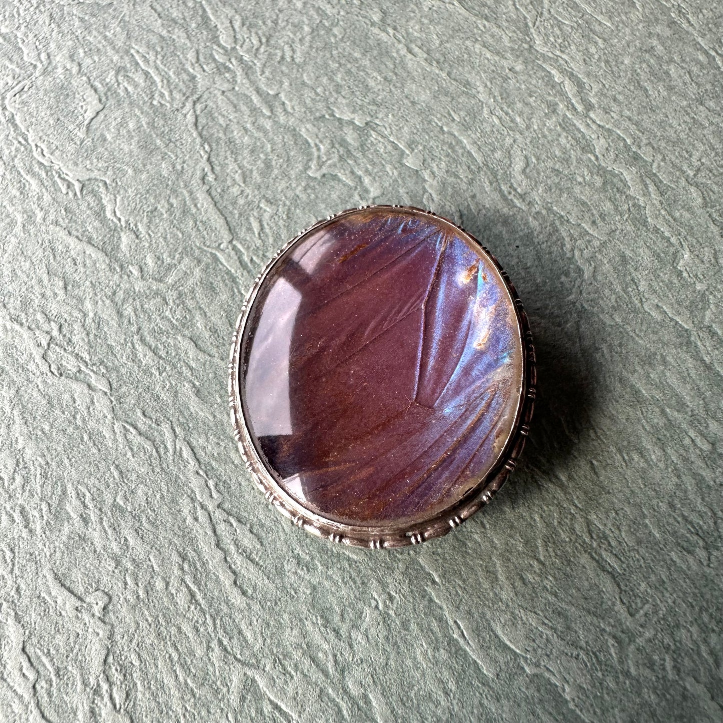 バタフライウィング オーバルブローチ ①