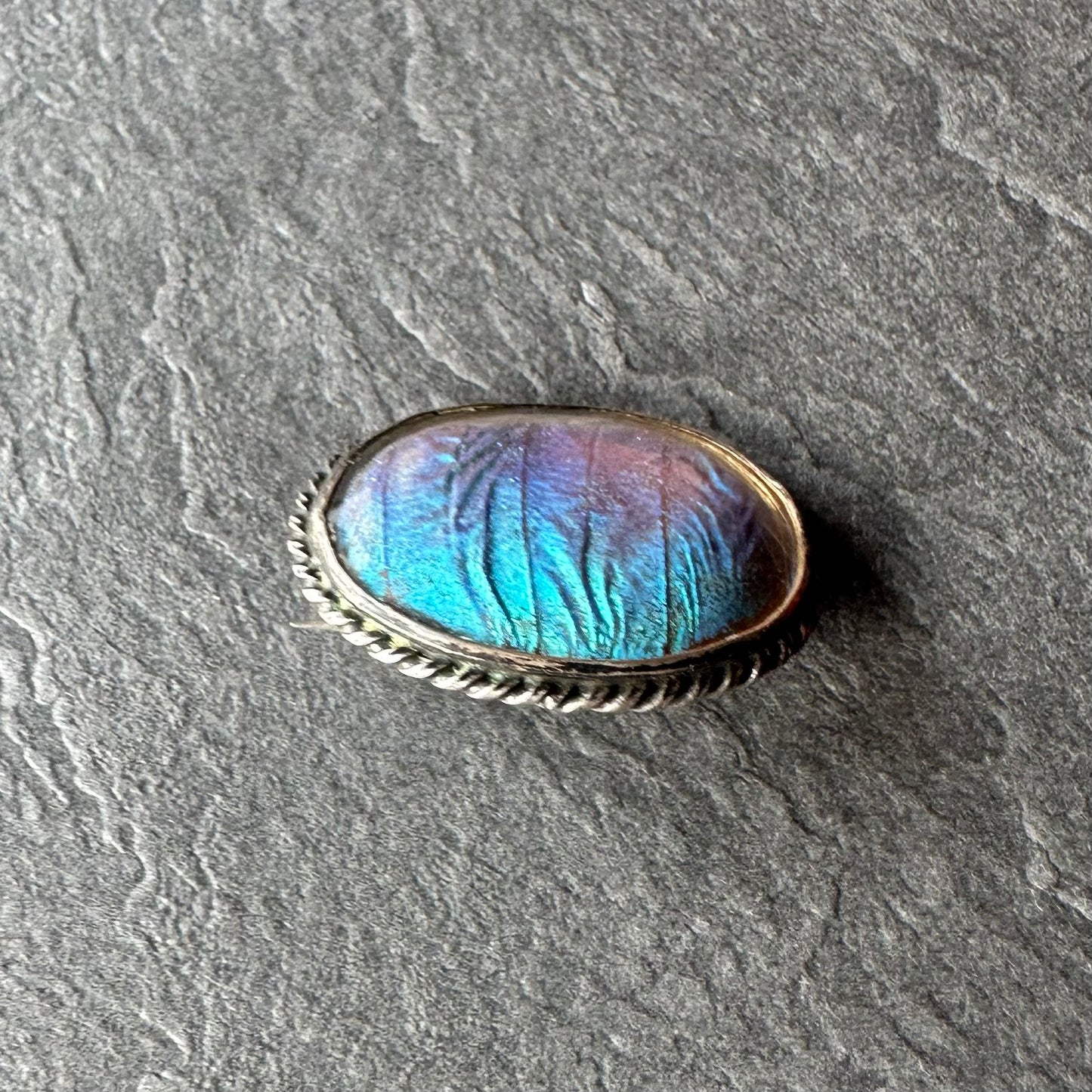 バタフライウィング オーバルブローチ ⑥