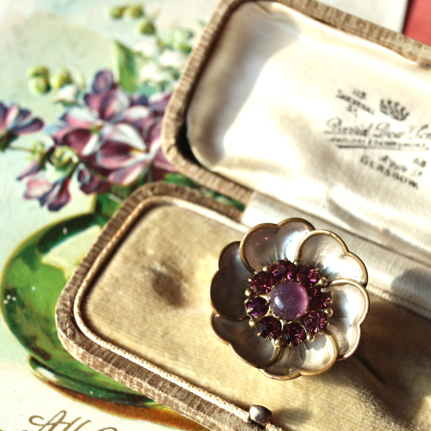 バターカップ パープルブローチ