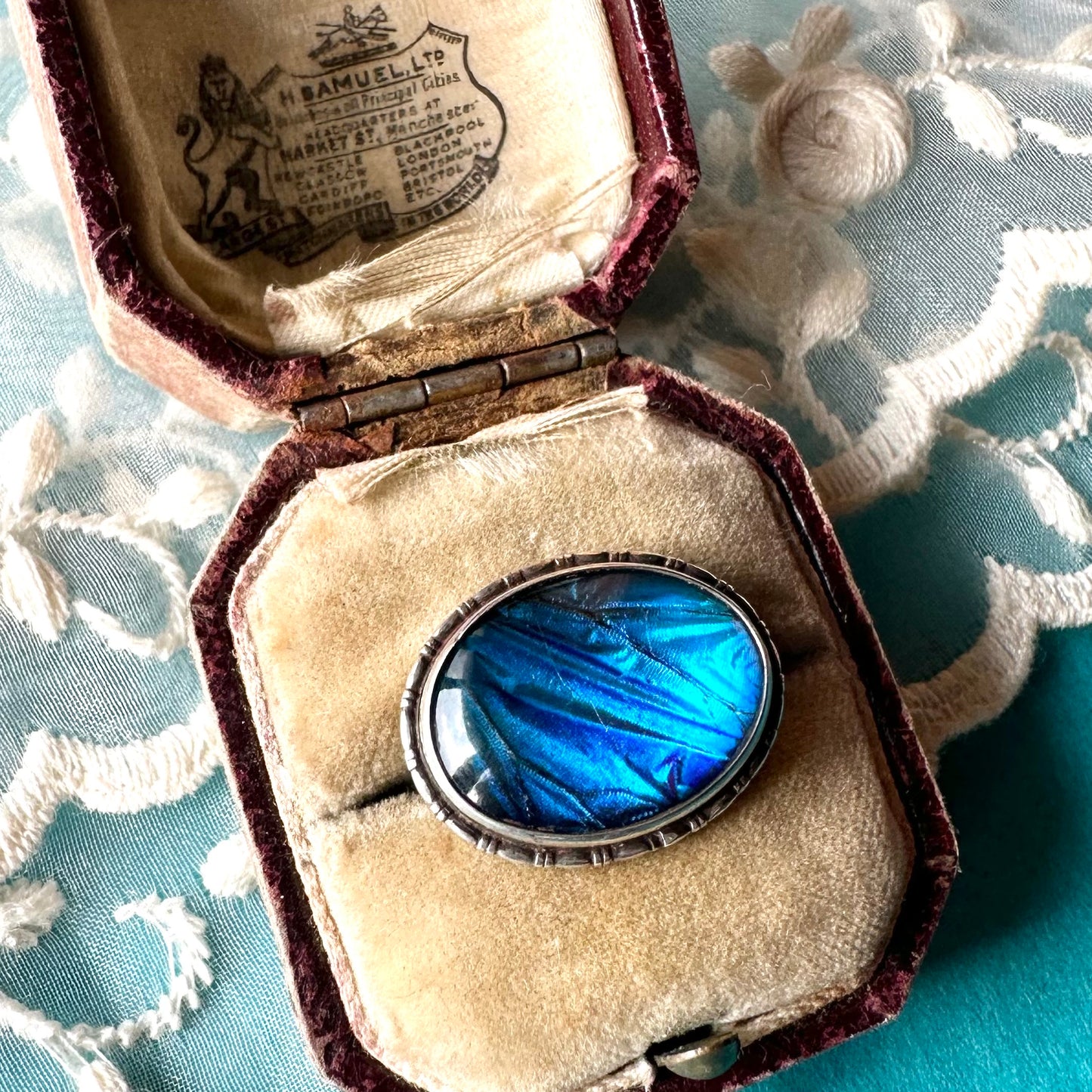 バタフライウィング オーバルブローチ ⑤