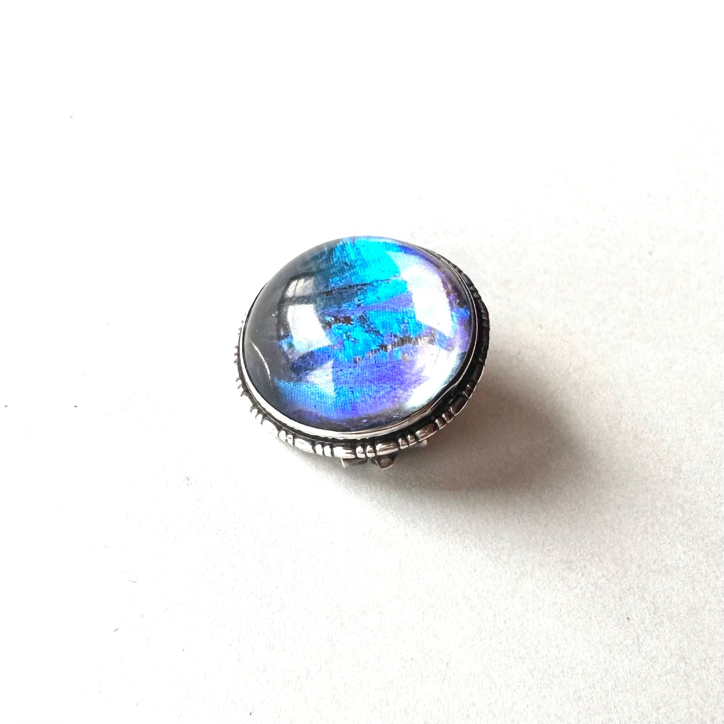 バタフライウィング ラウンド ミニブローチ