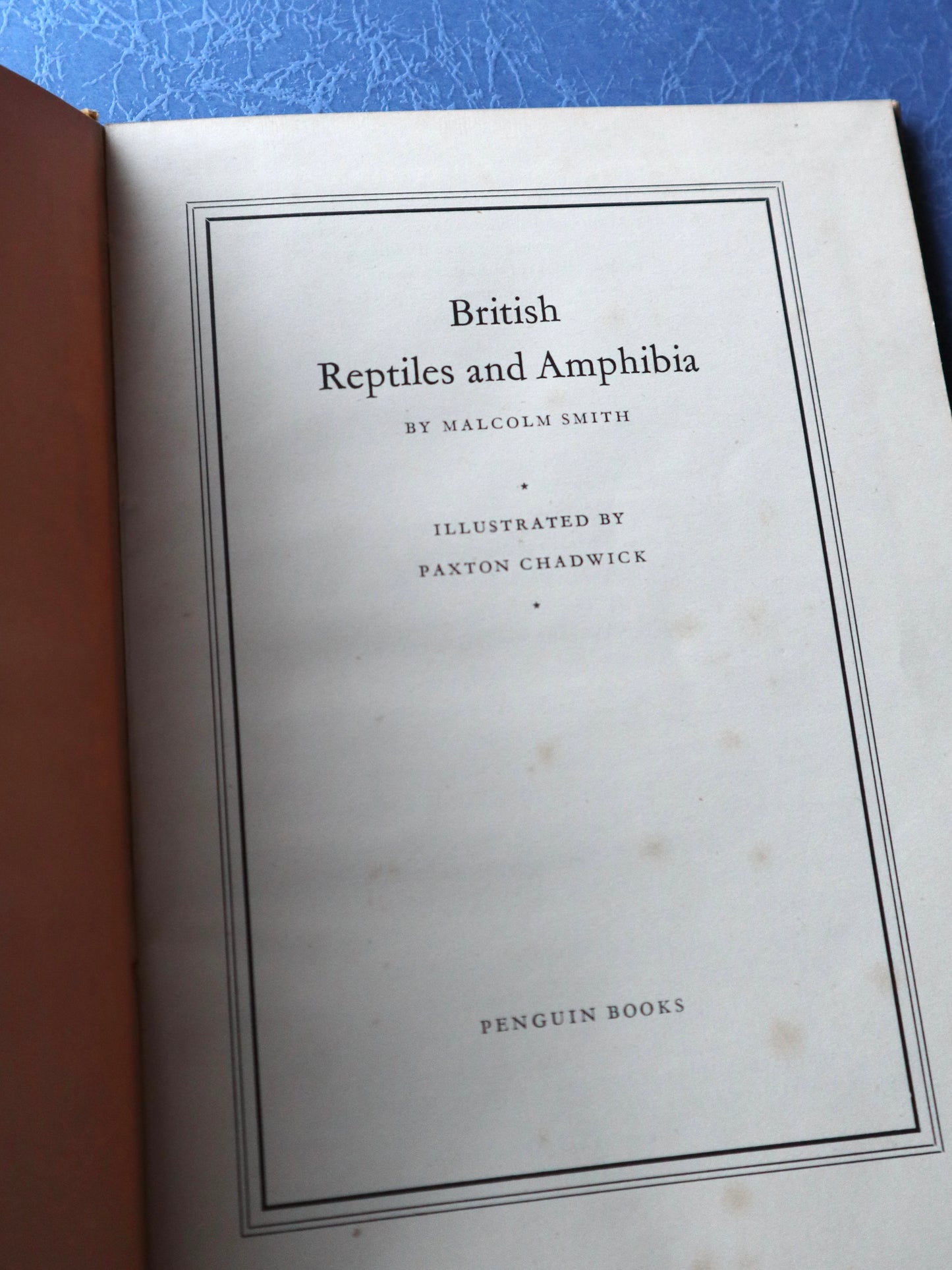 ヴィンテージブック フロッグ 1949年