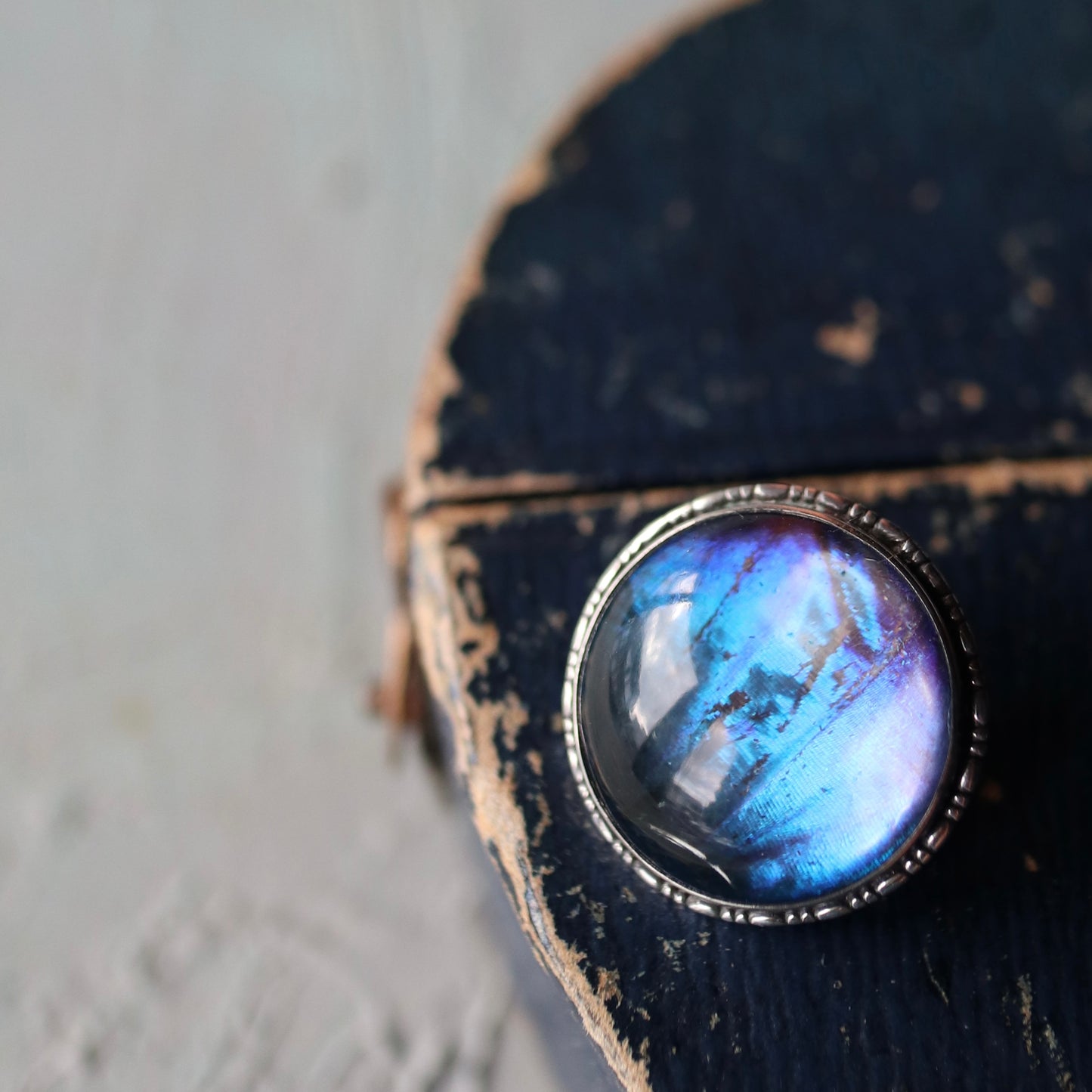 バタフライウィング ラウンド ミニブローチ