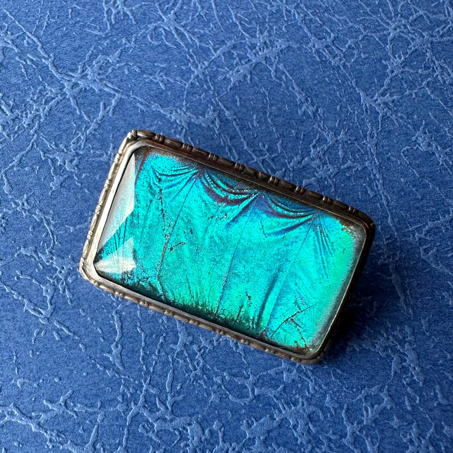 バタフライウィング レクタングルブローチ ④