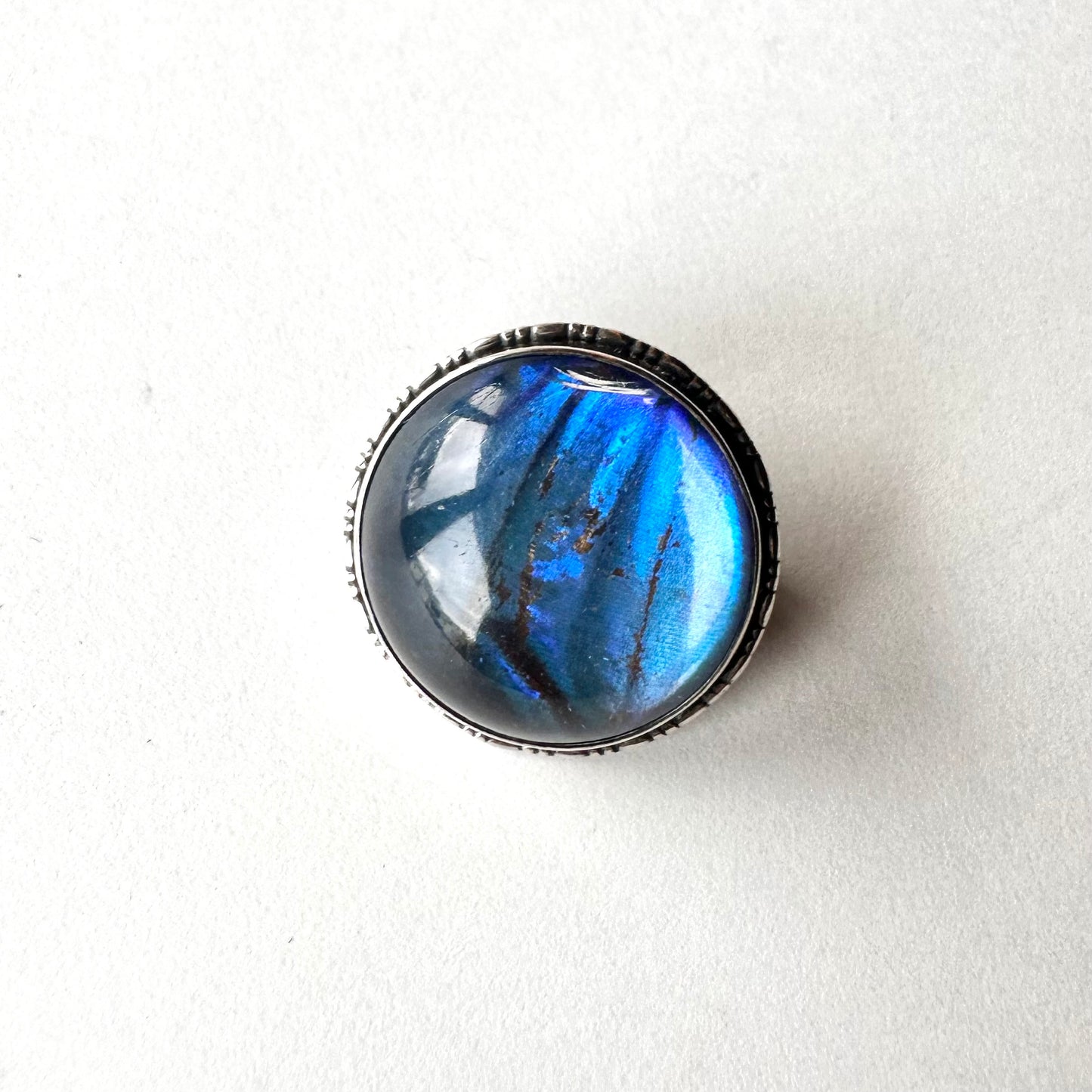 バタフライウィング ラウンド ミニブローチ