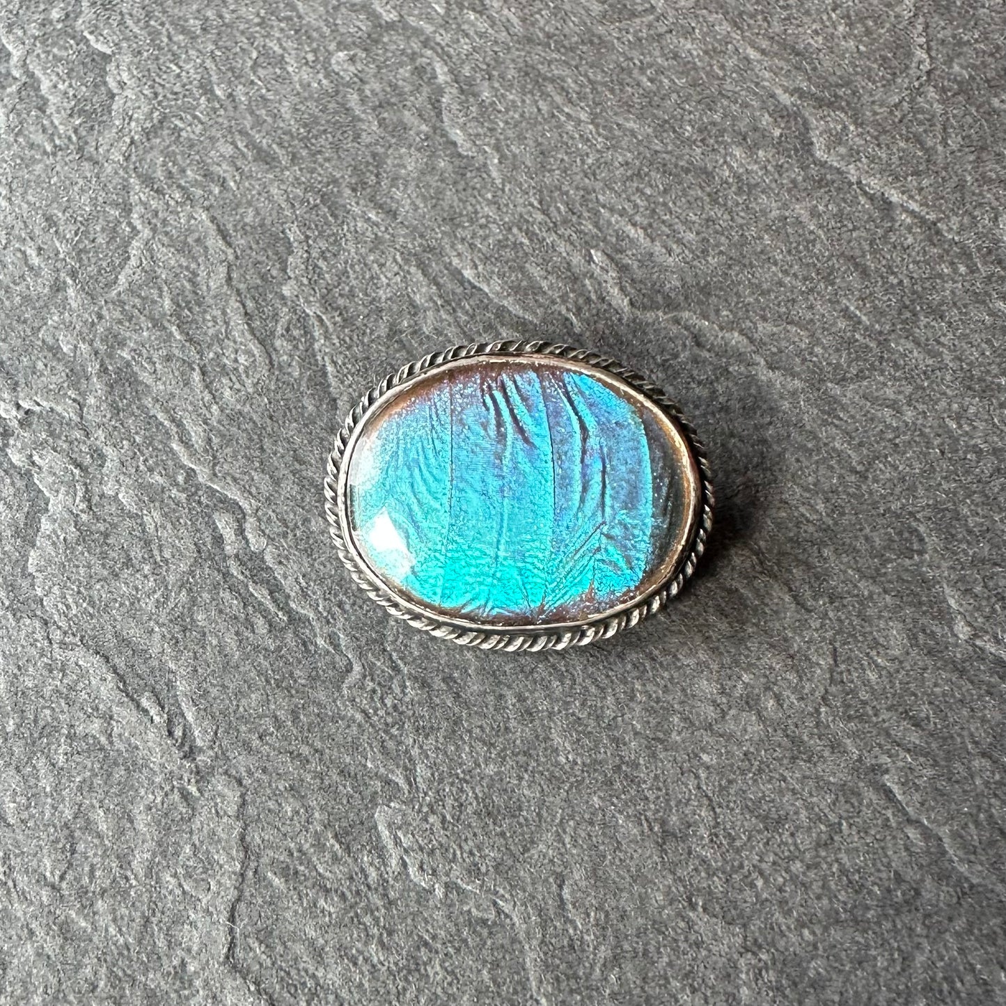 バタフライウィング オーバルブローチ ⑥