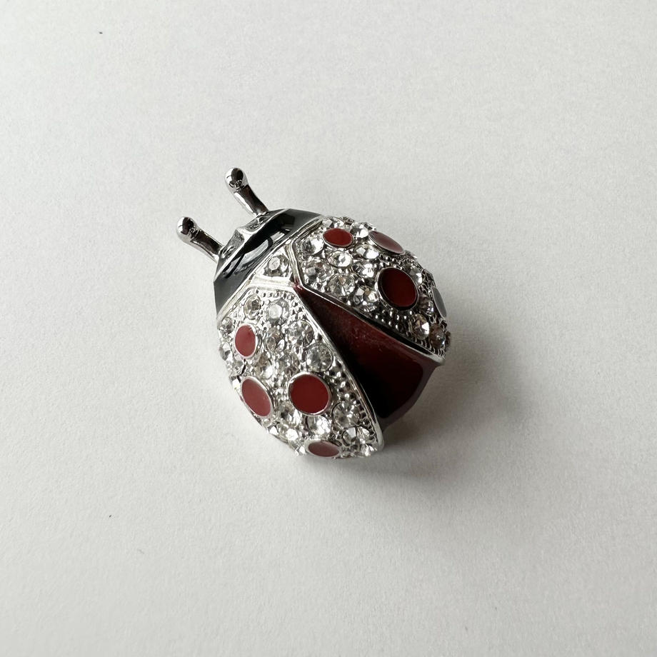 レディバグ　ブローチ( silver)